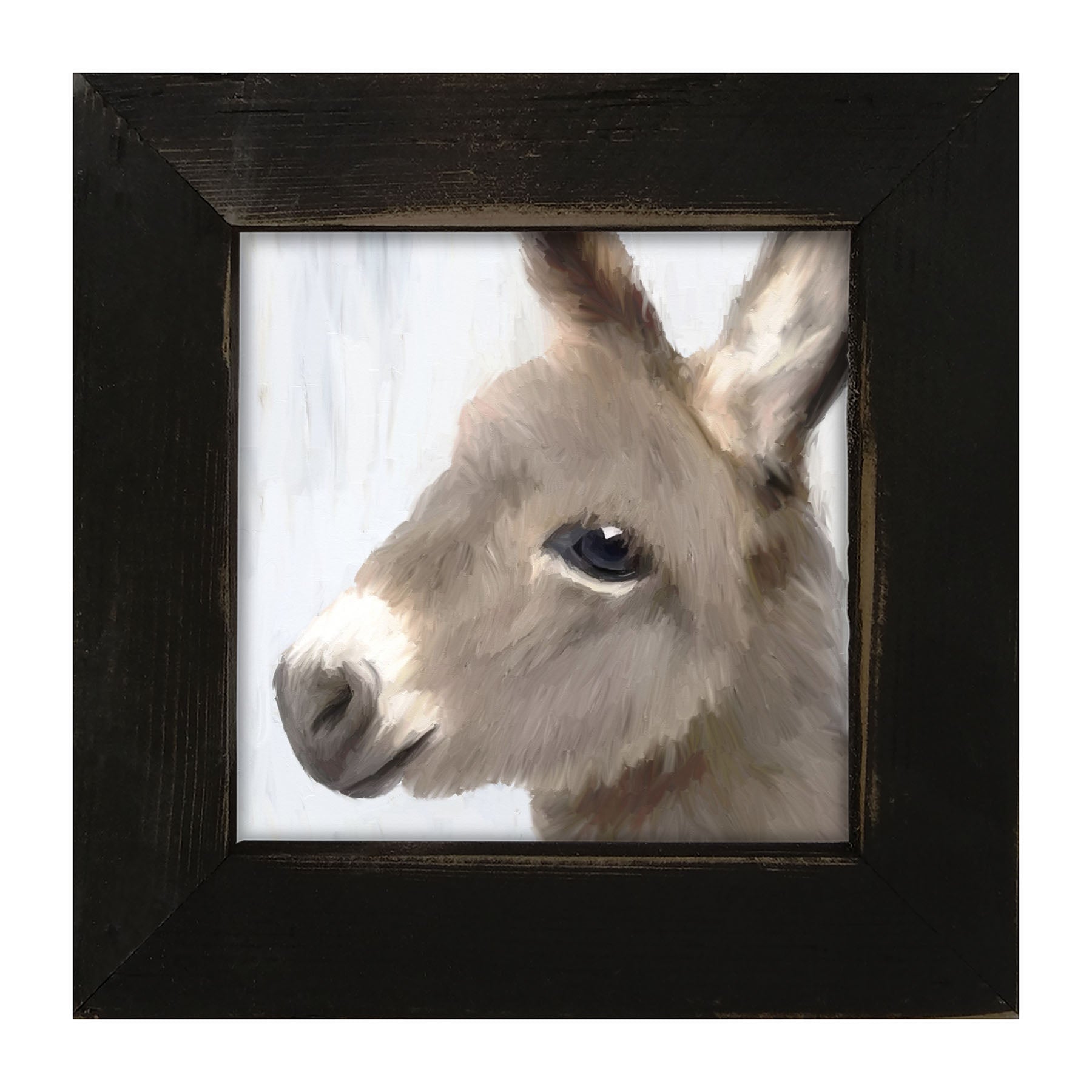 Baby Donkey - Framed art