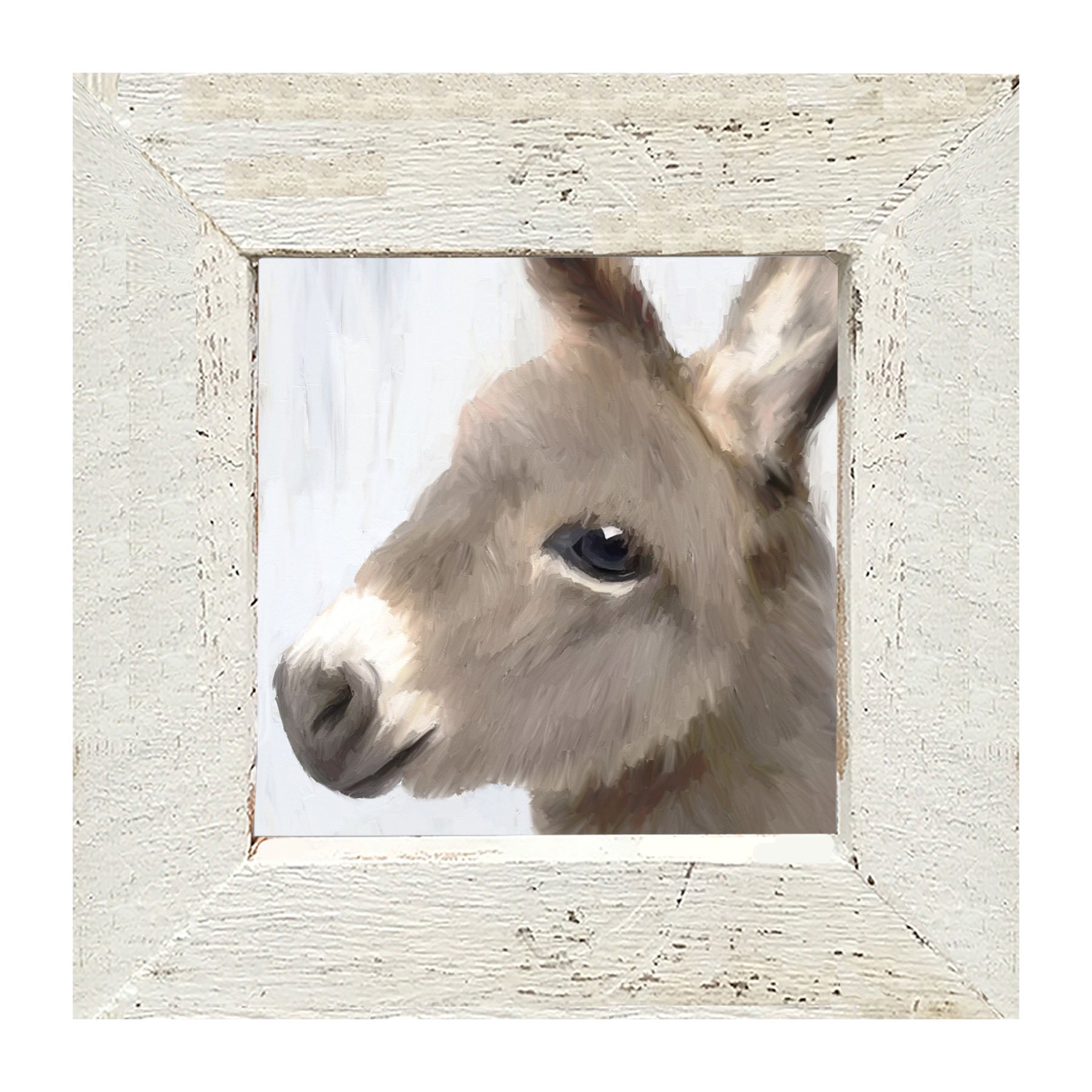 Baby Donkey - Framed art