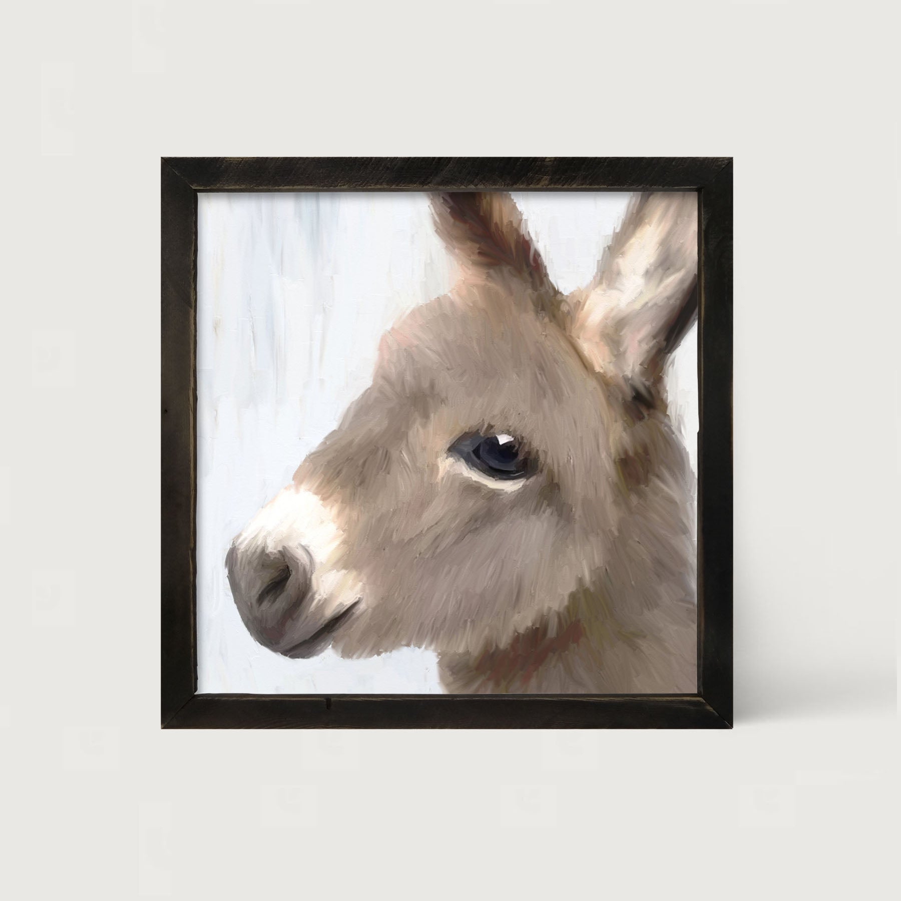 Baby Donkey - Framed art