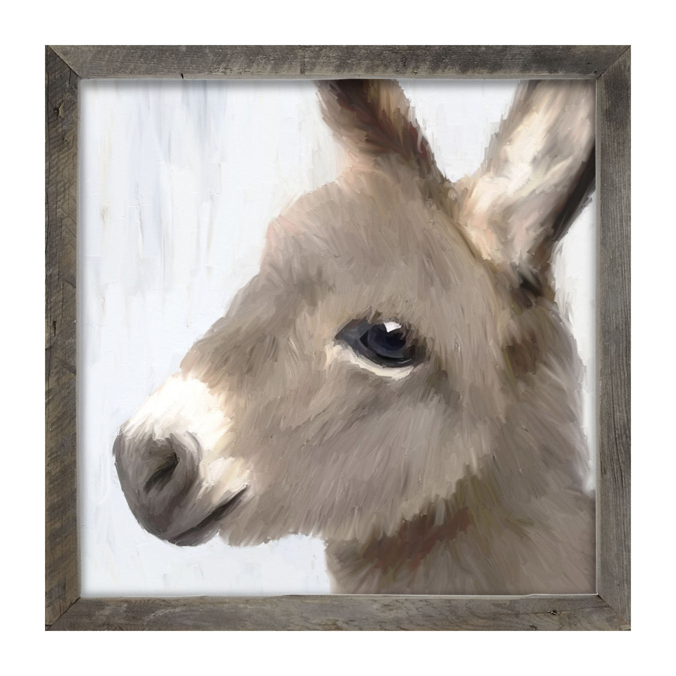 Baby Donkey - Framed art