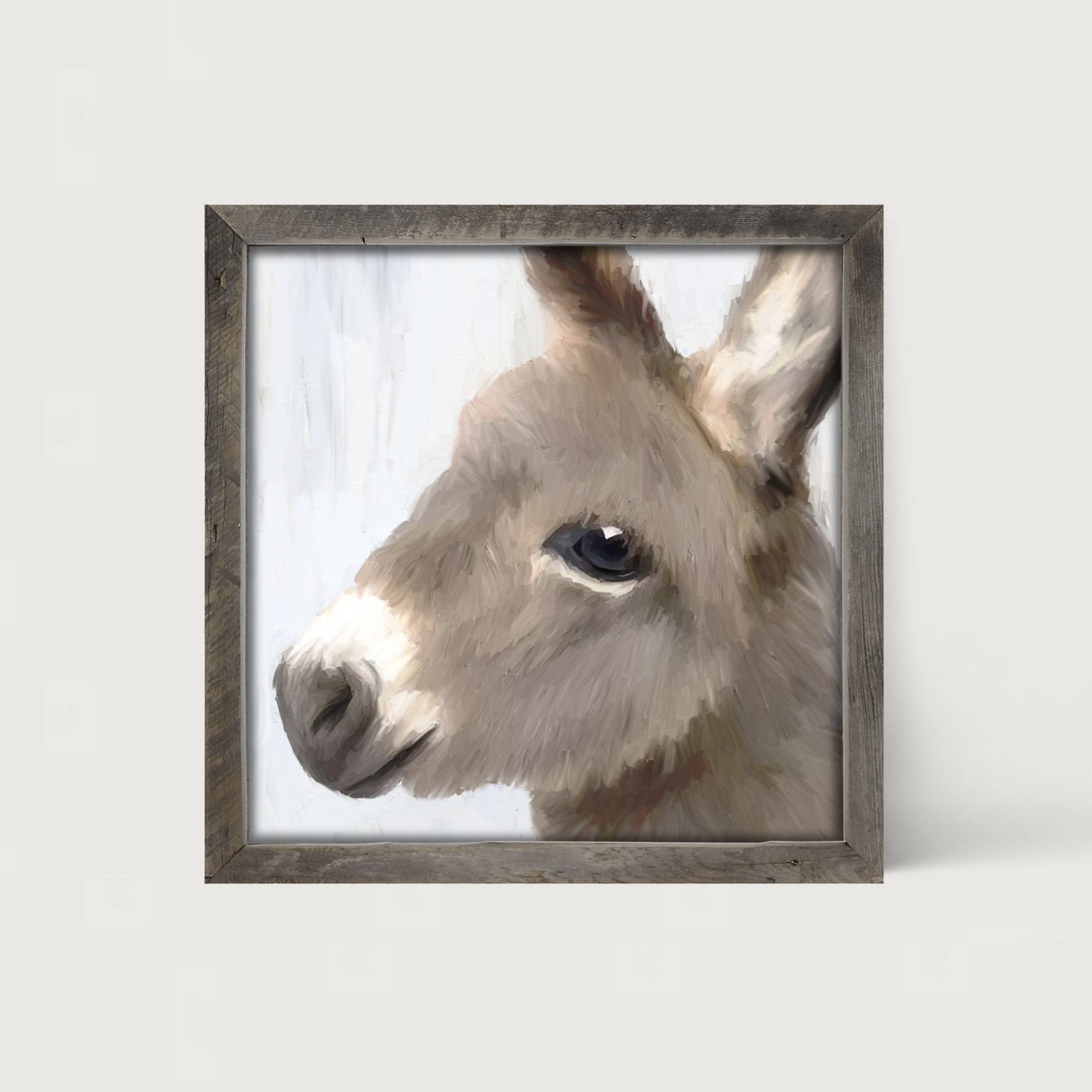 Baby Donkey - Framed art