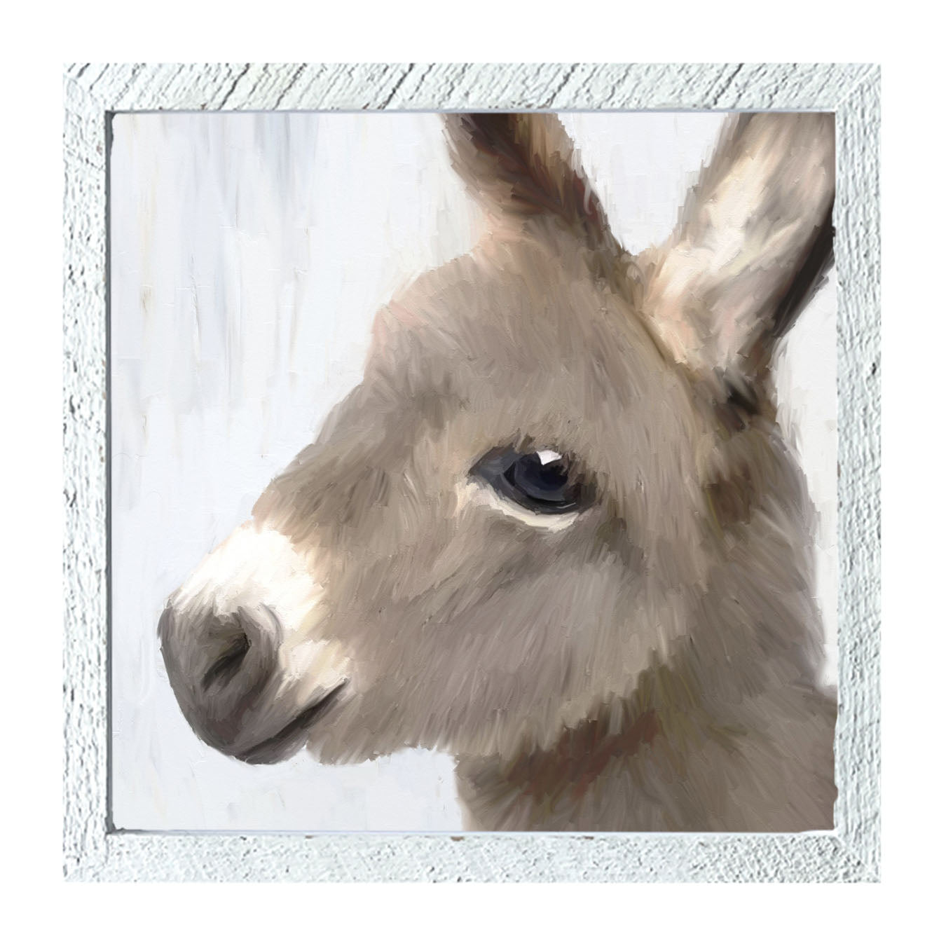 Baby Donkey - Framed art