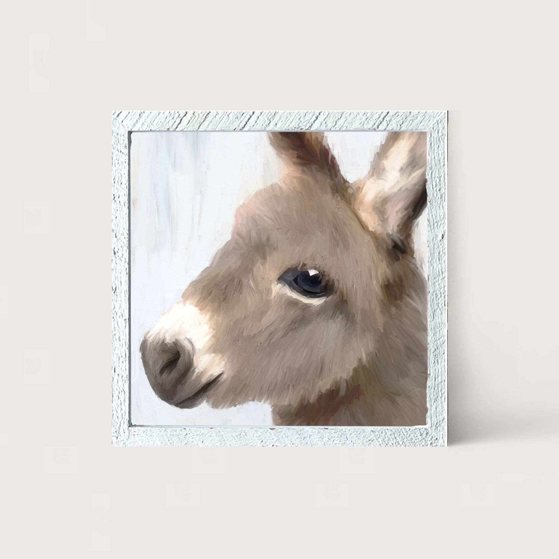 Baby Donkey - Framed art