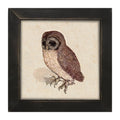 Framed Art