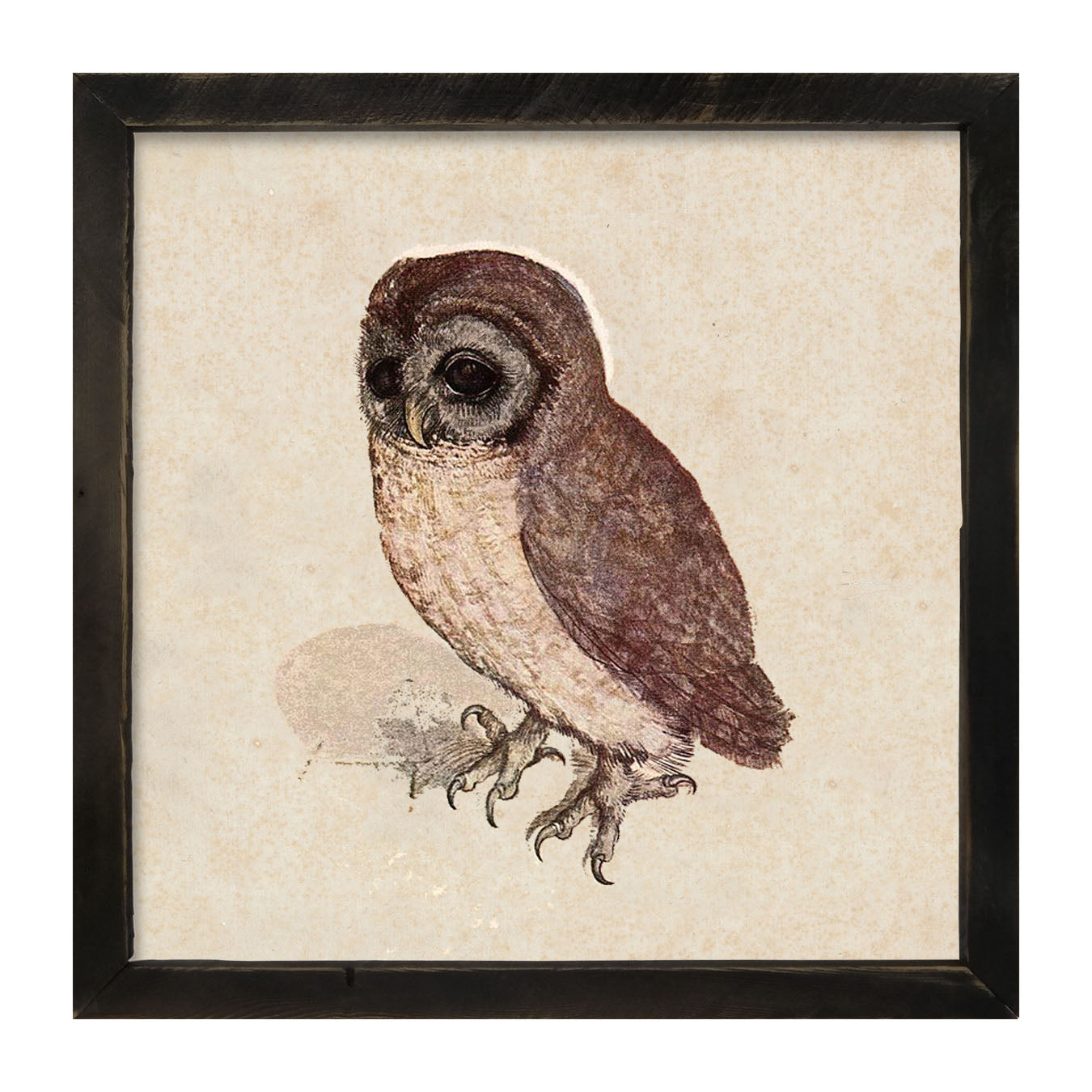 Vintage owl