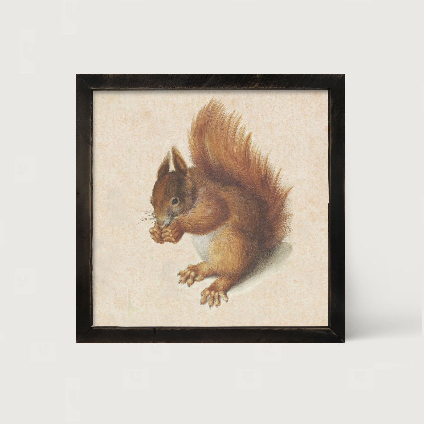 Vintage Squirrel - Framed art