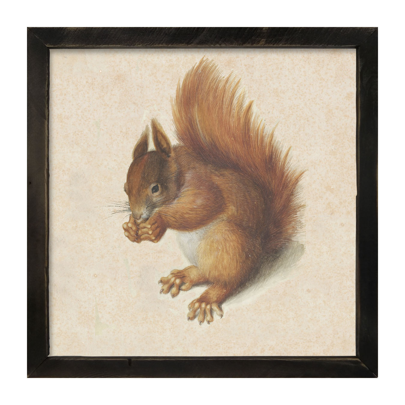 Vintage Squirrel - Framed art