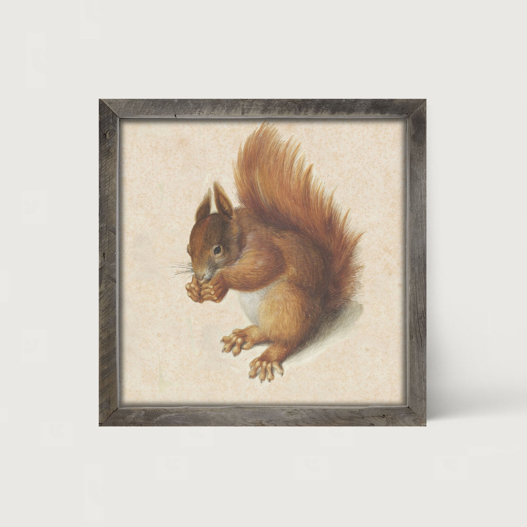 Vintage Squirrel - Framed art