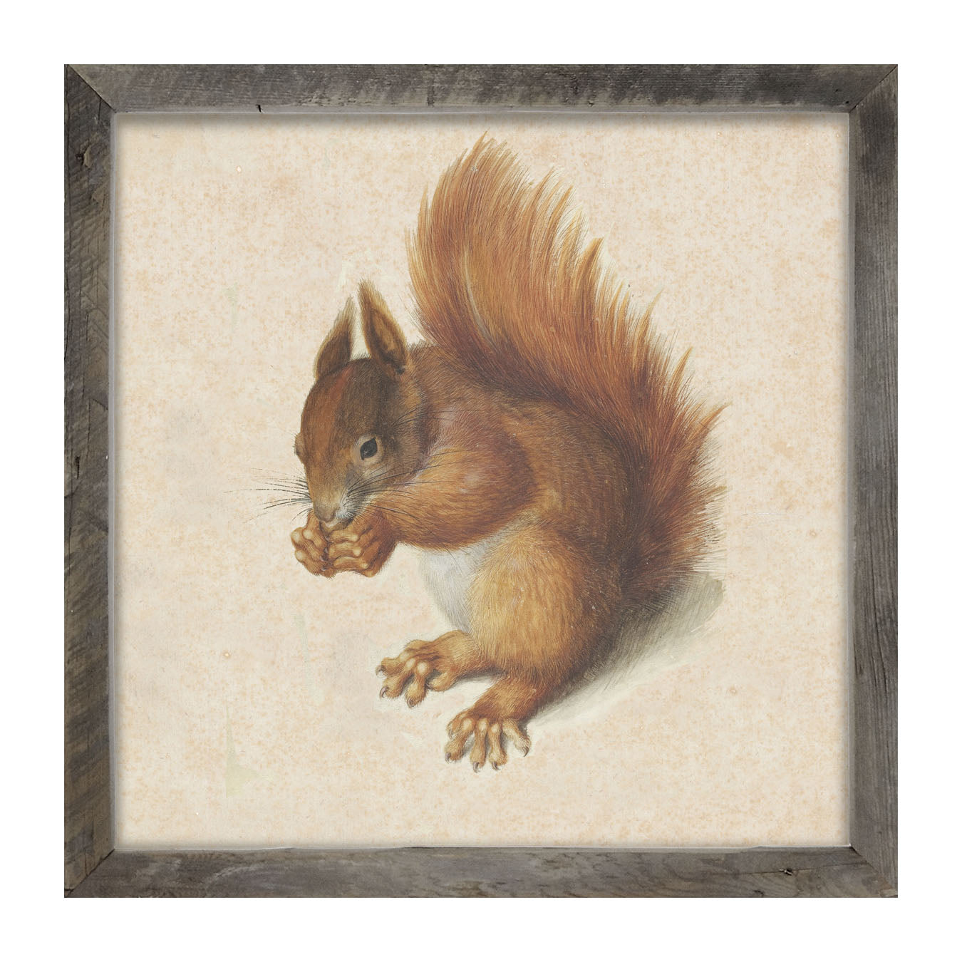 Vintage Squirrel - Framed art