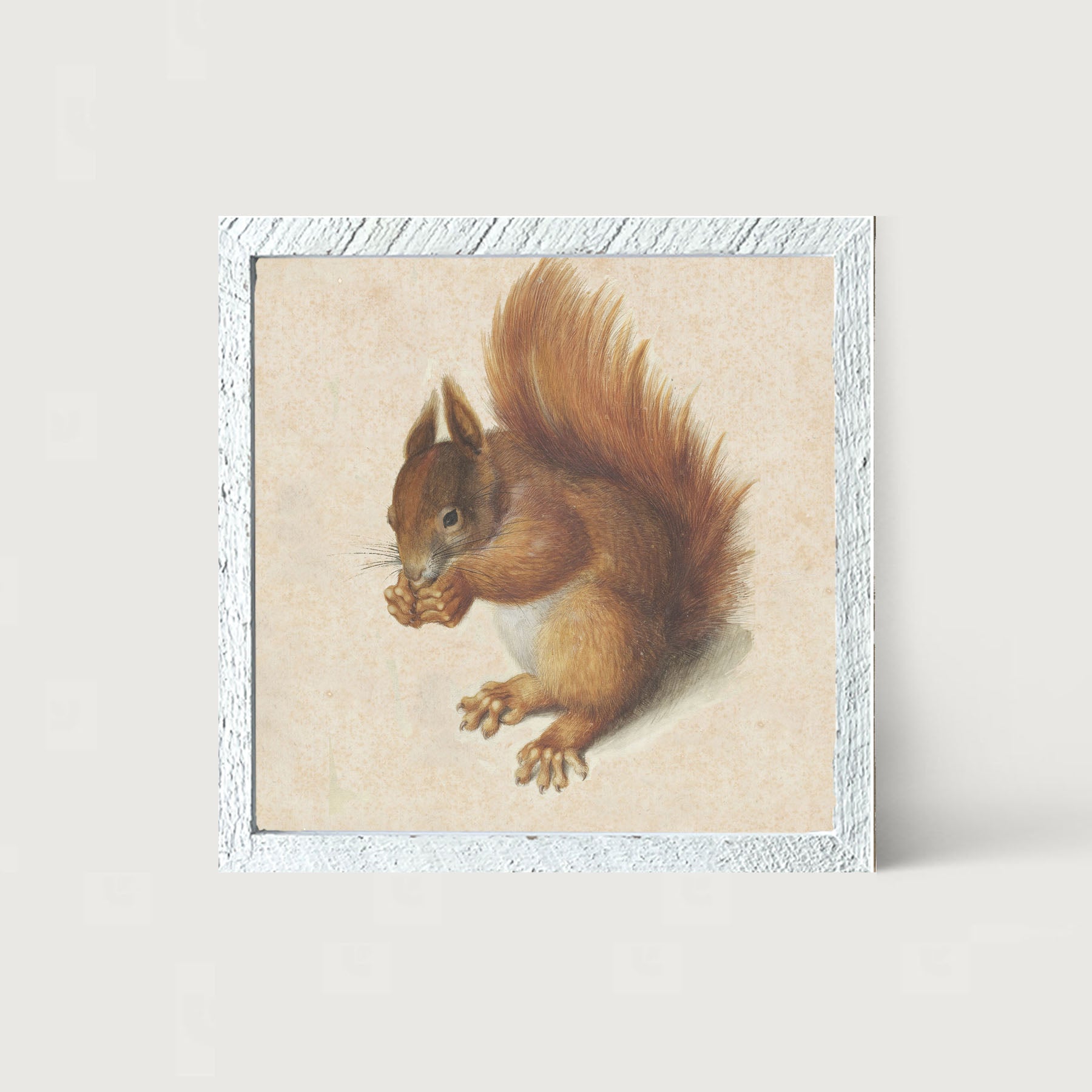 Vintage Squirrel - Framed art