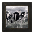 Framed Art