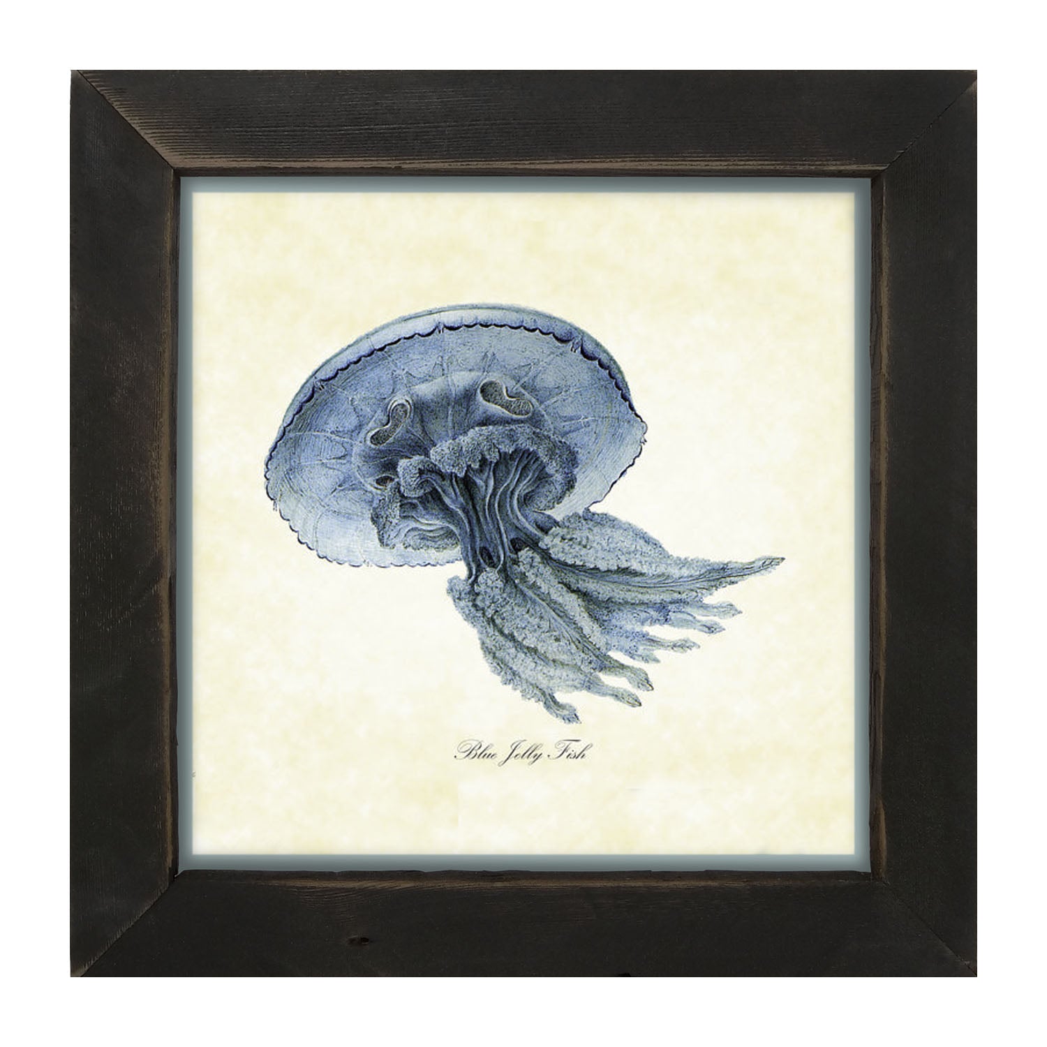 Blue Jelly Fish - Framed art