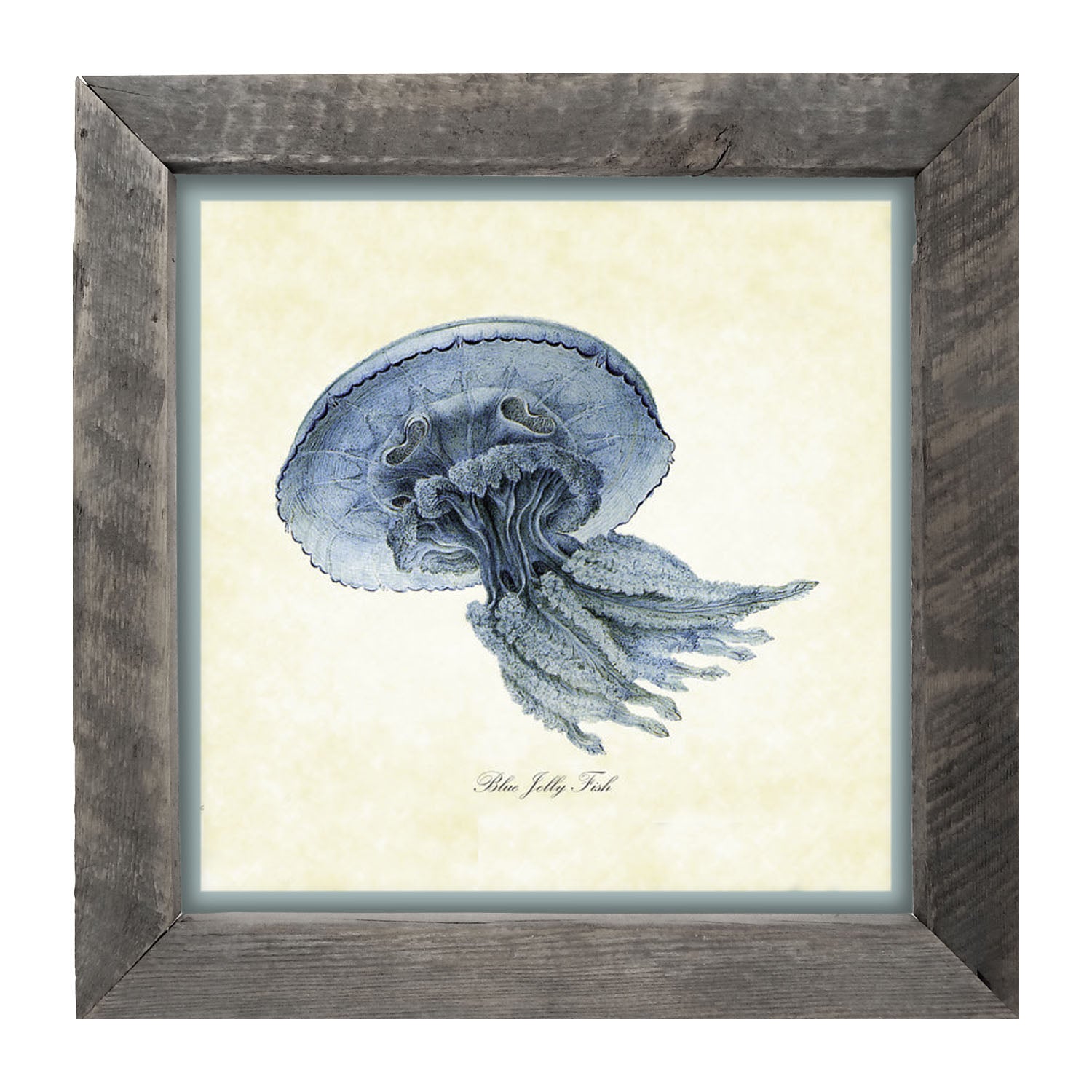 Blue Jelly Fish - Framed art