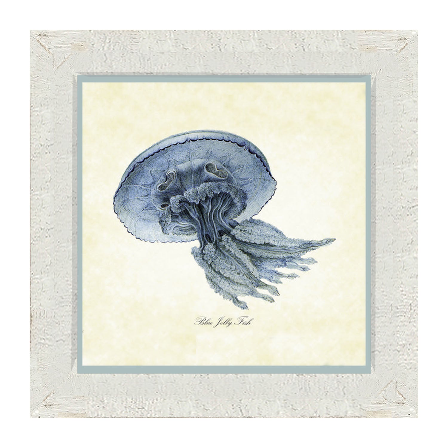 Blue Jelly Fish - Framed art