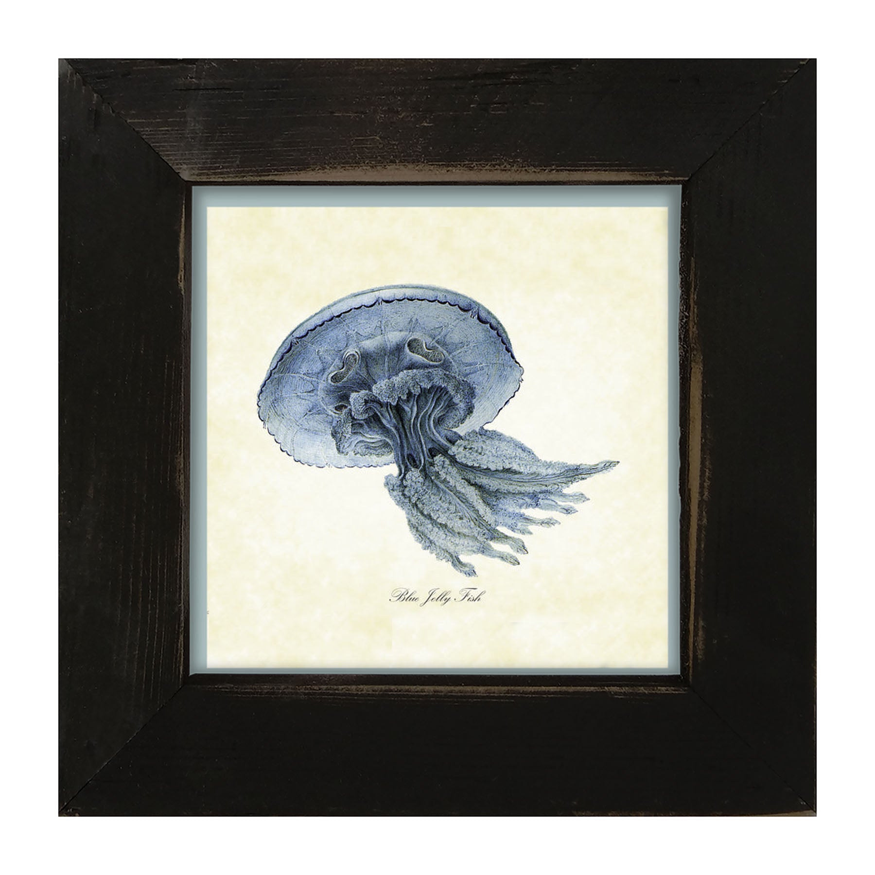 Blue Jelly Fish - Framed art