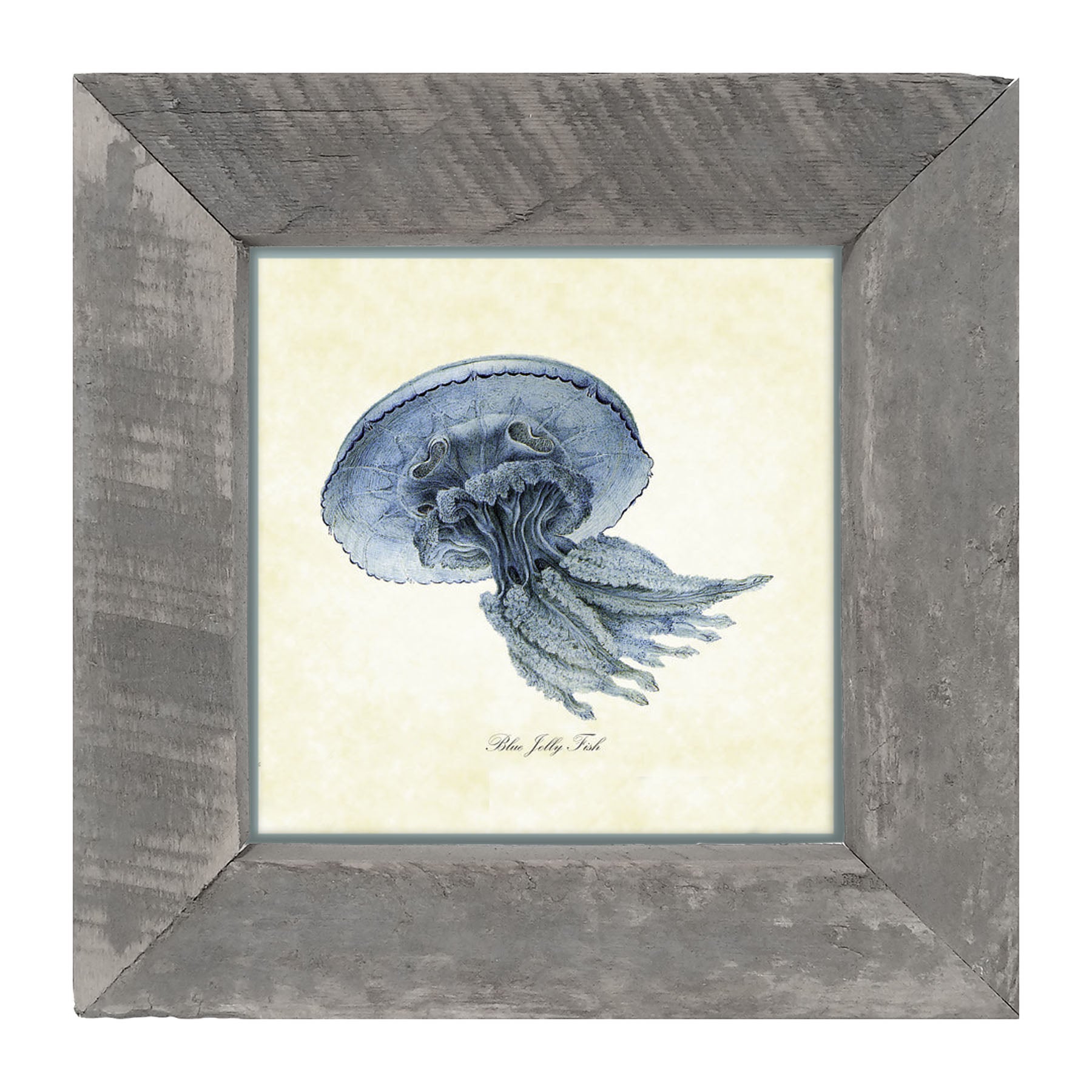 Blue Jelly Fish - Framed art