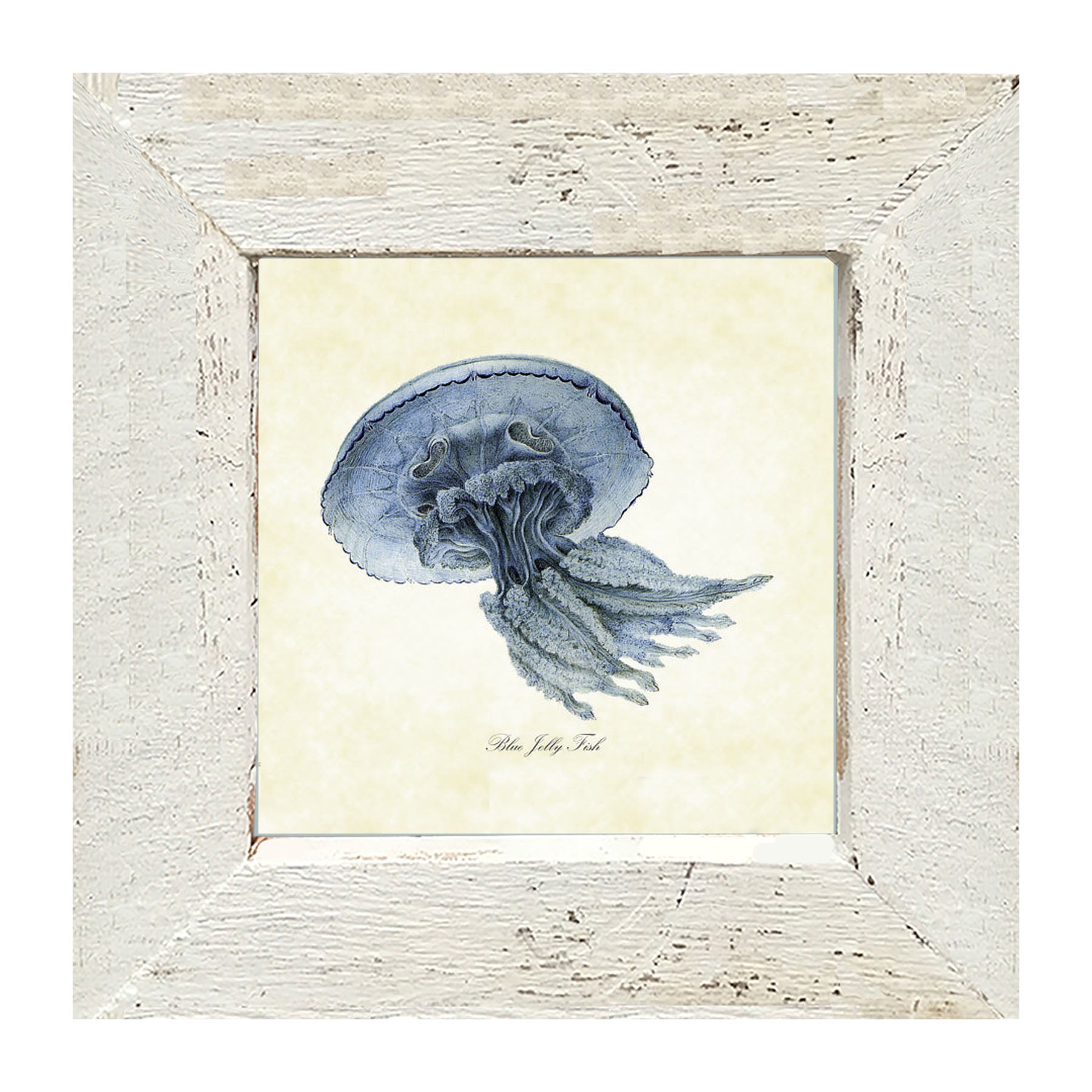 Blue Jelly Fish - Framed art