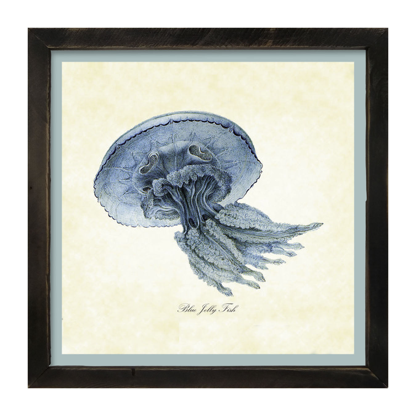 Blue Jelly Fish - Framed art