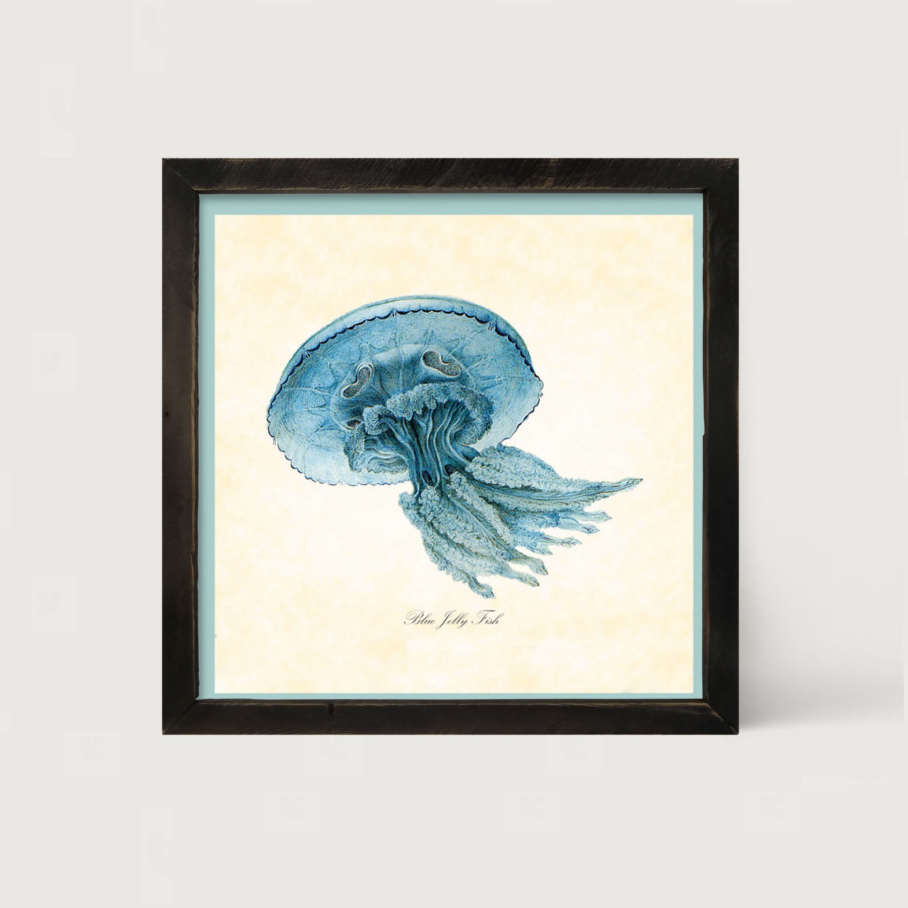 Blue Jelly Fish - Framed art