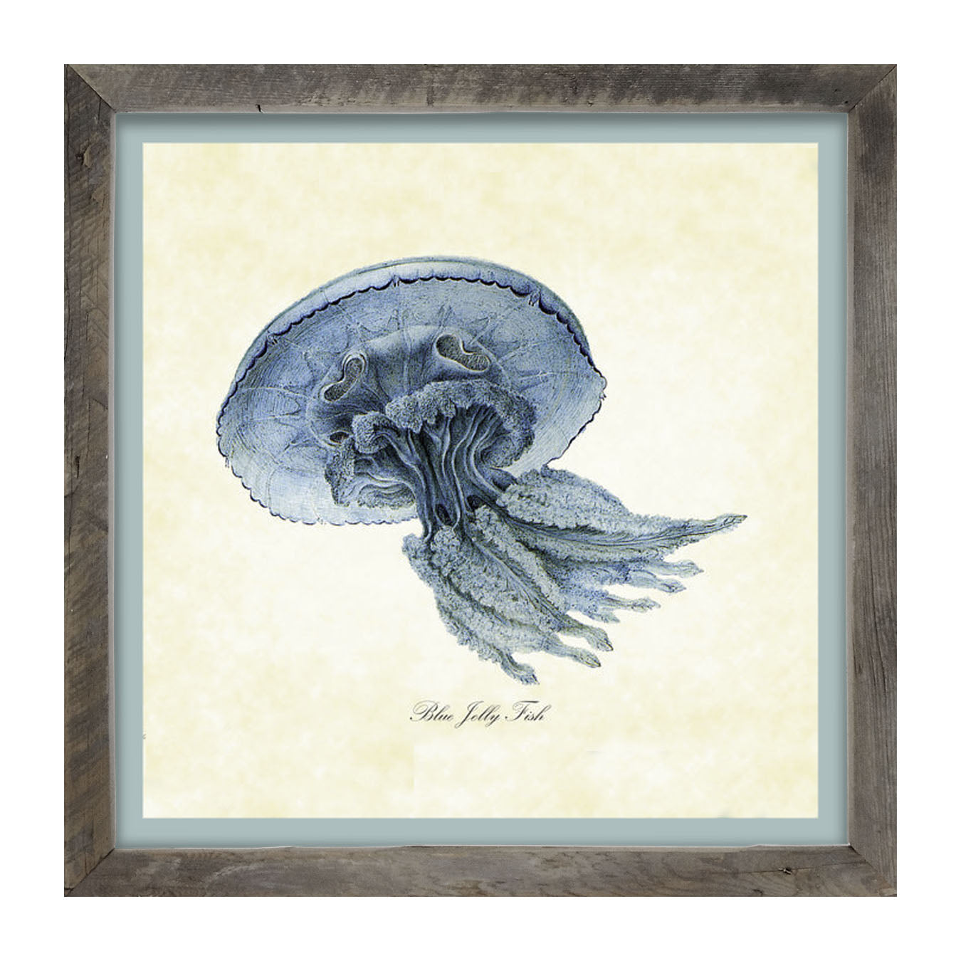 Blue Jelly Fish - Framed art