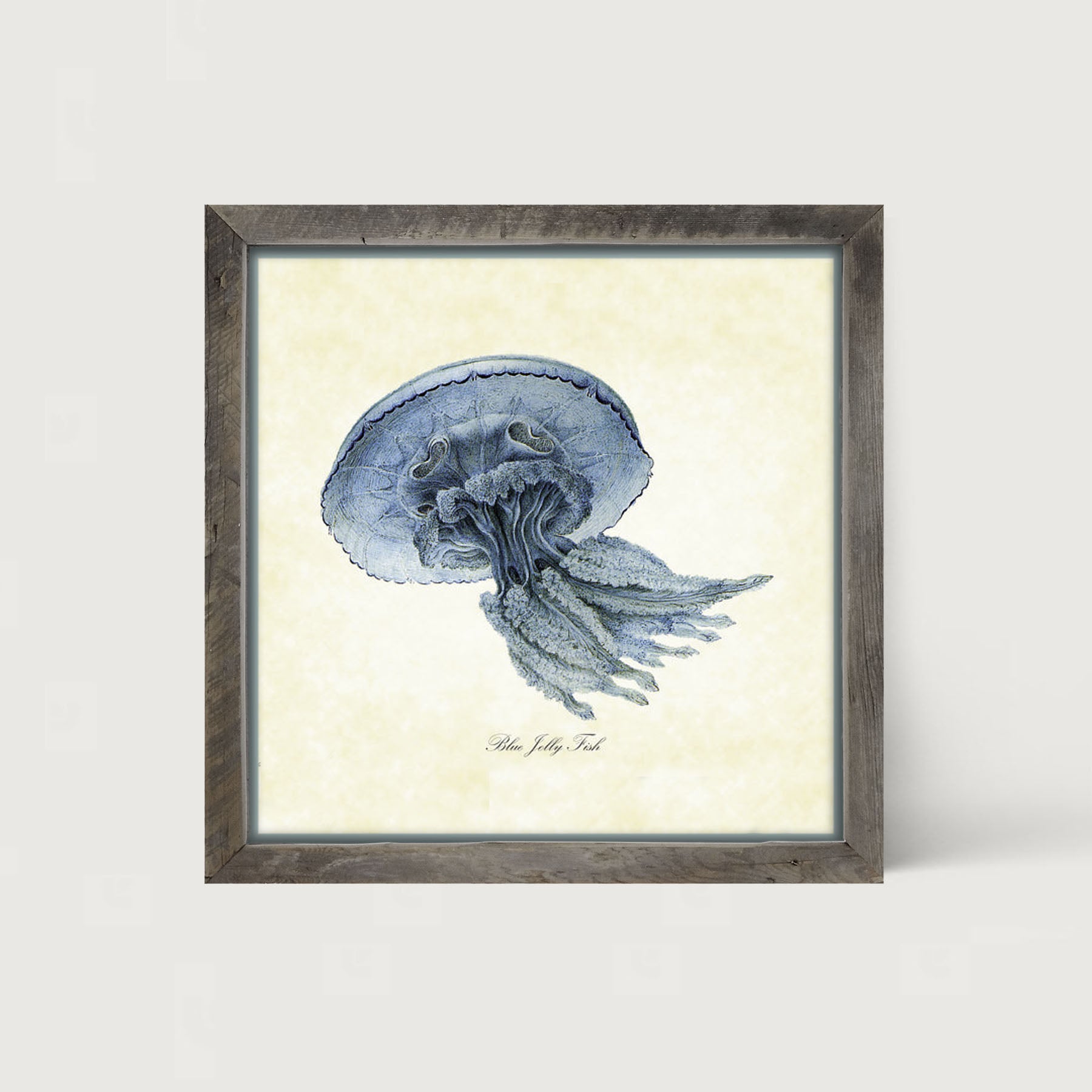 Blue Jelly Fish - Framed art