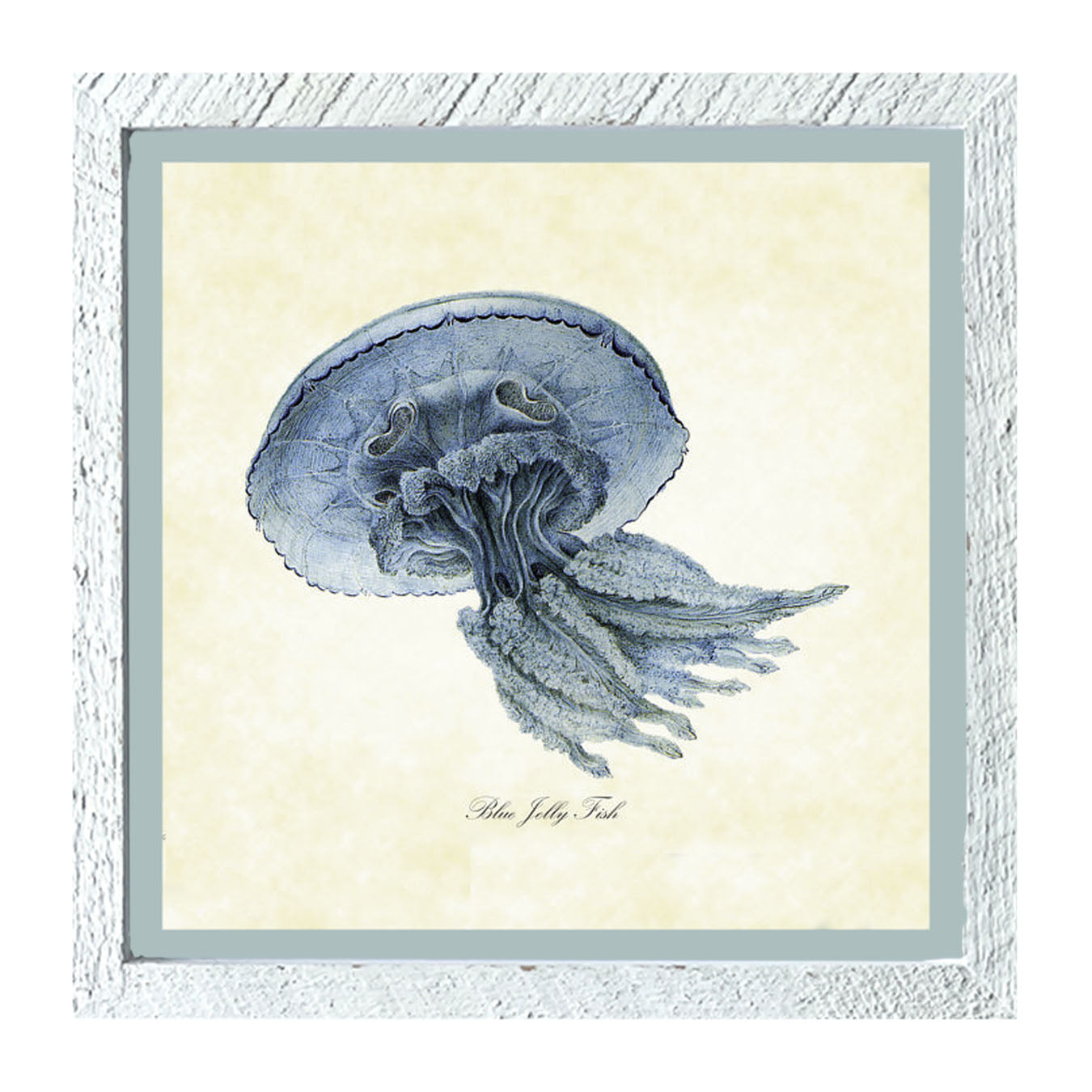 Blue Jelly Fish - Framed art