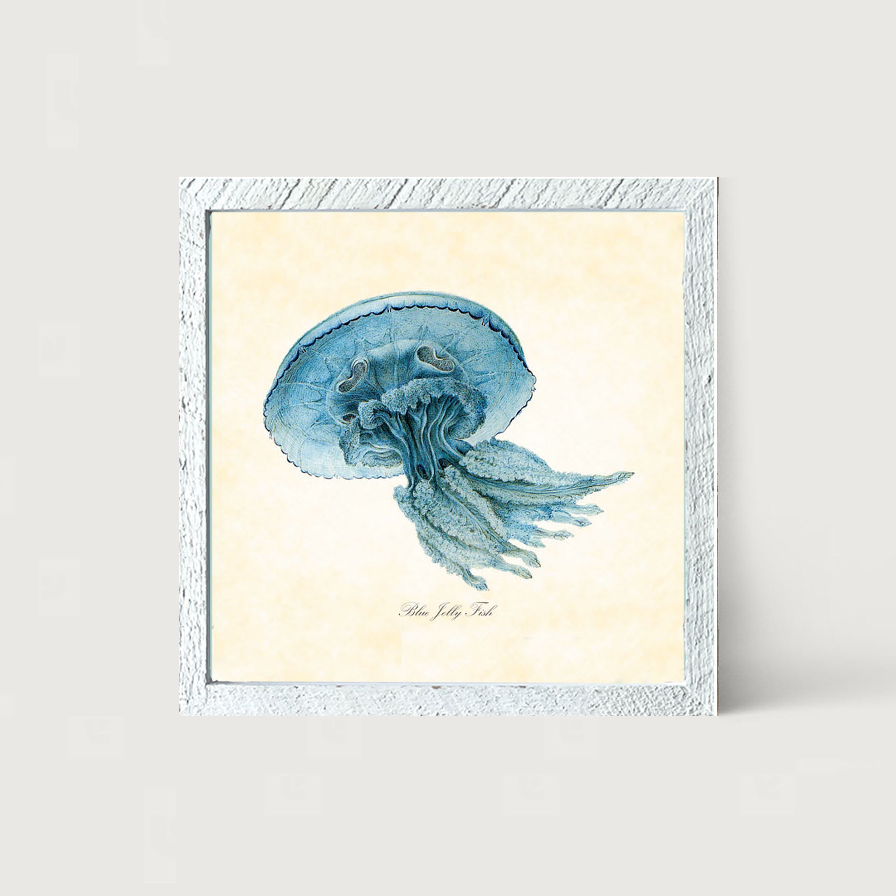 Blue Jelly Fish - Framed art