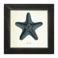 Framed Art