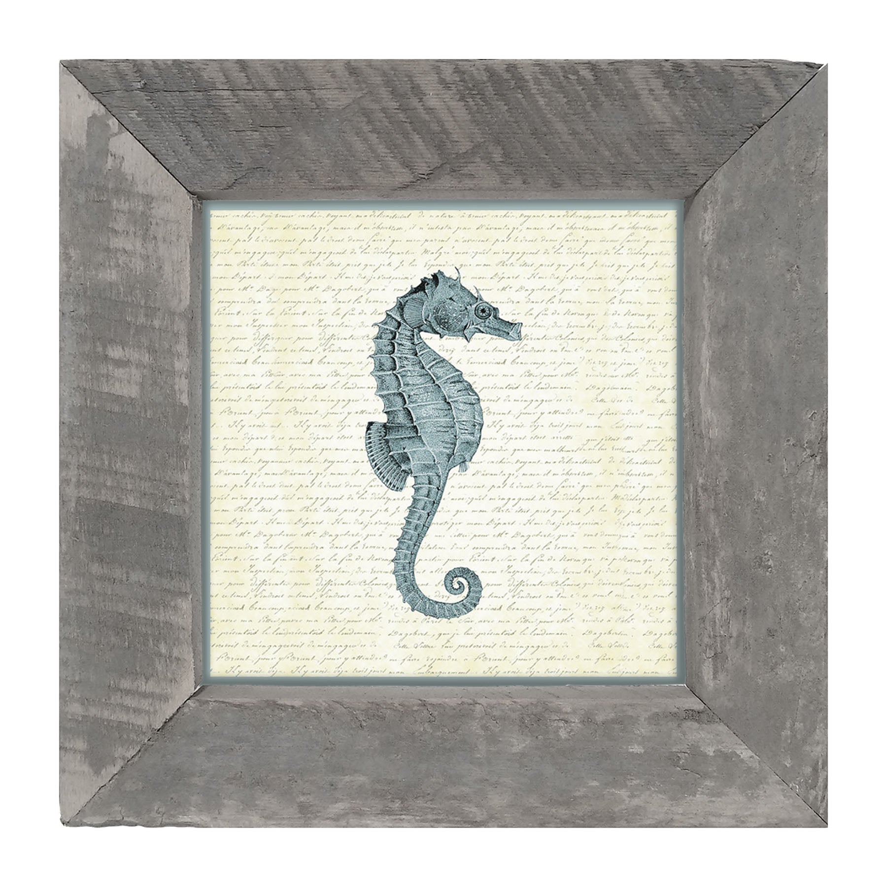 Blue Seahorse - Framed art