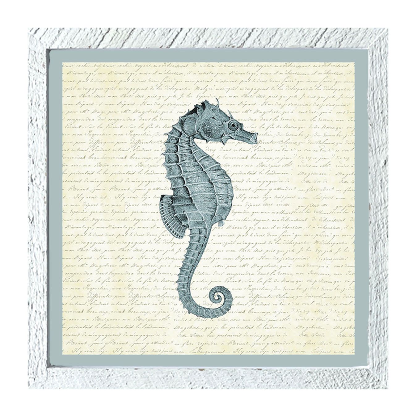 Blue Seahorse - Framed art