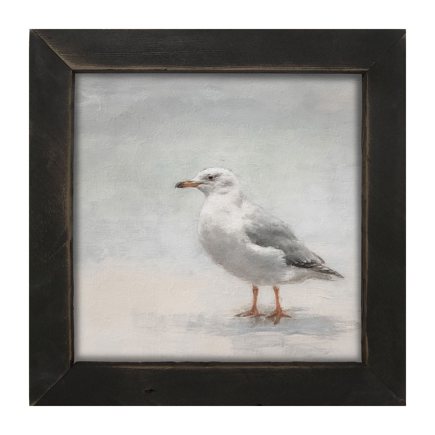 Seagull - Framed art