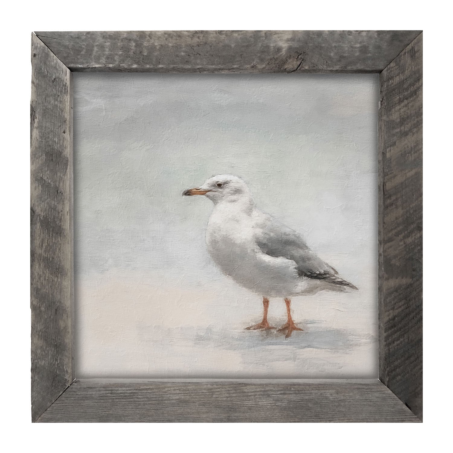 Seagull - Framed art