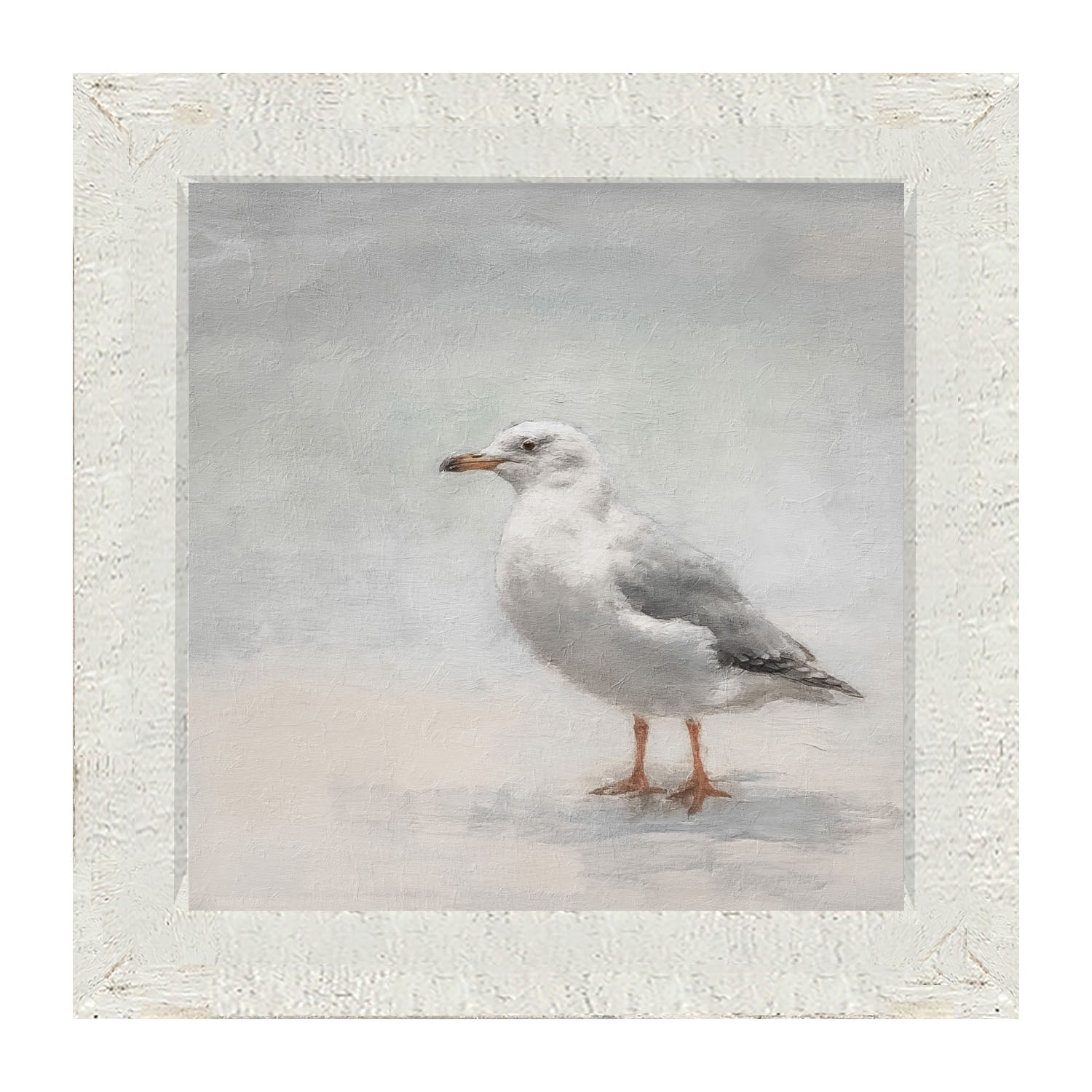 Seagull - Framed art