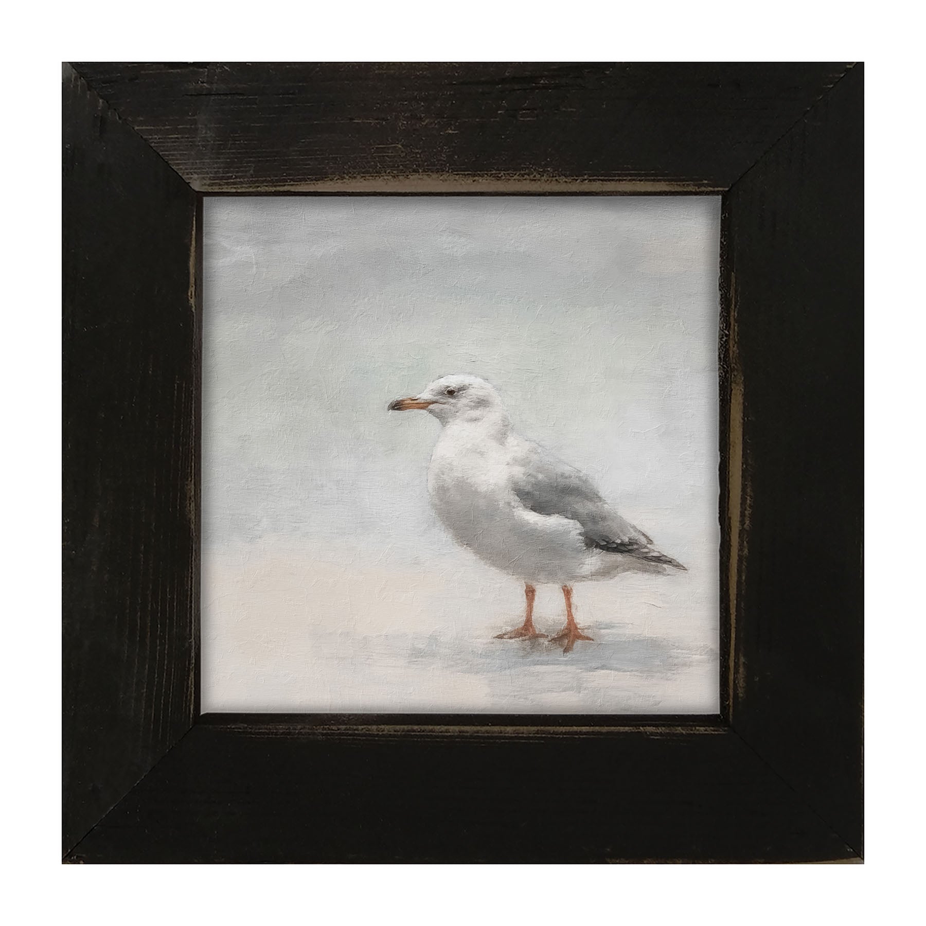Seagull - Framed art