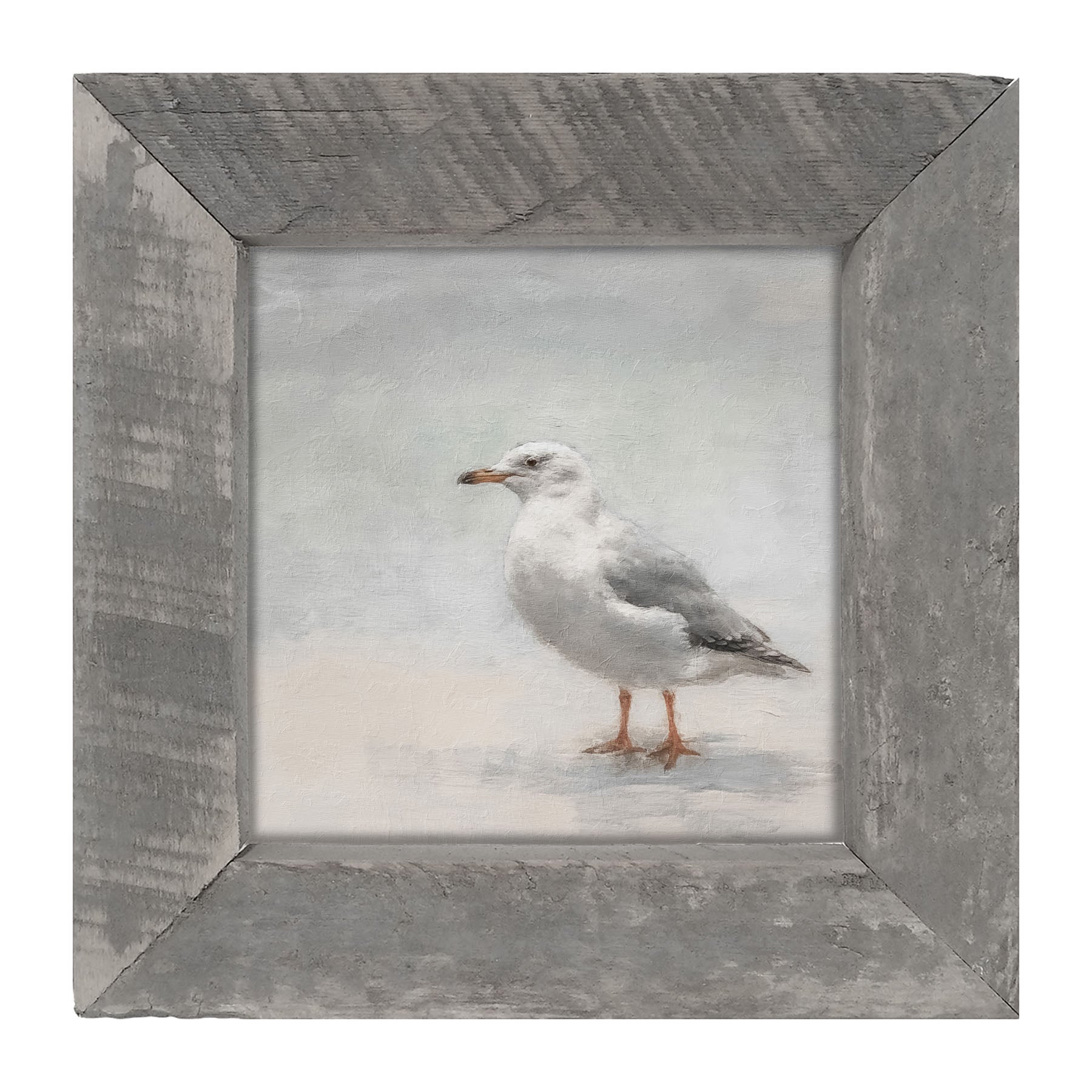 Seagull - Framed art