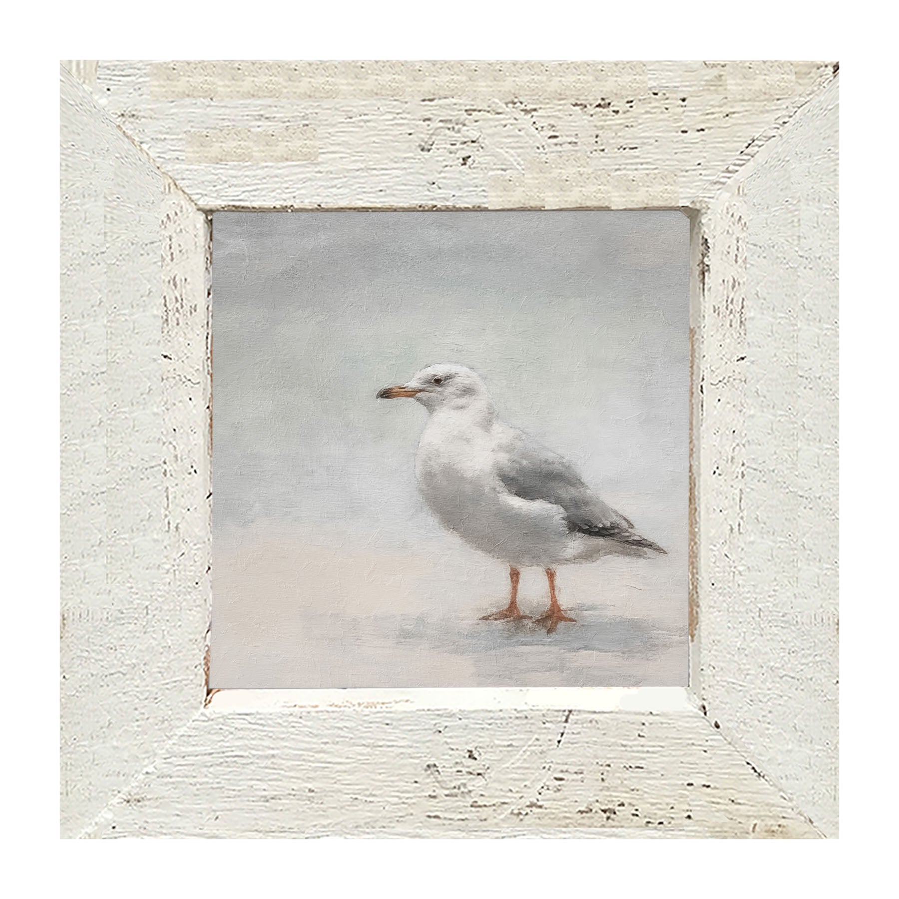 Seagull - Framed art