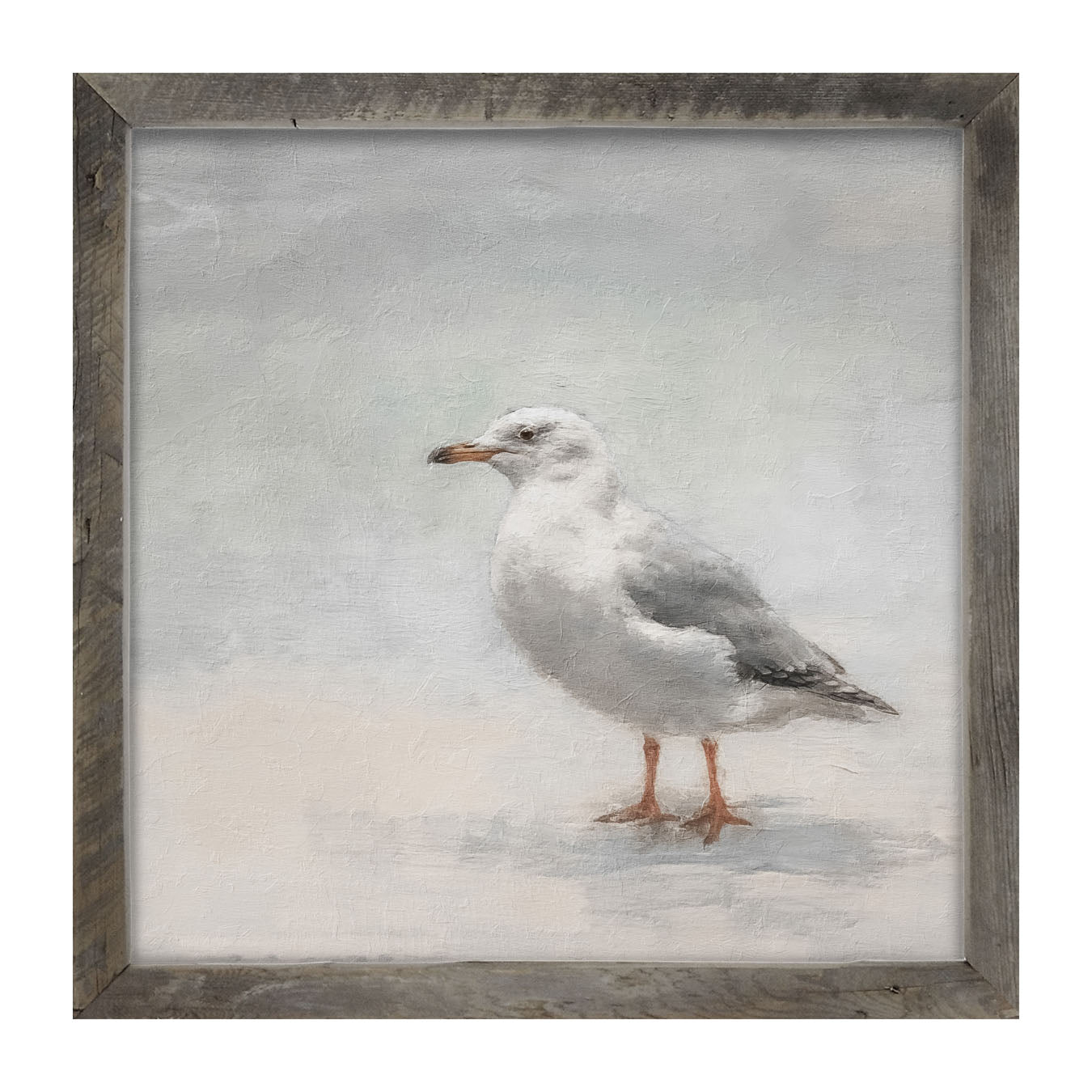 Seagull - Framed art