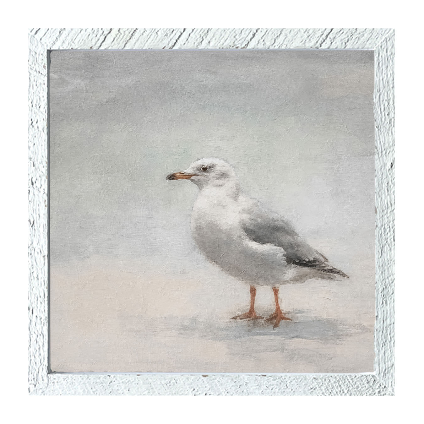 Seagull - Framed art