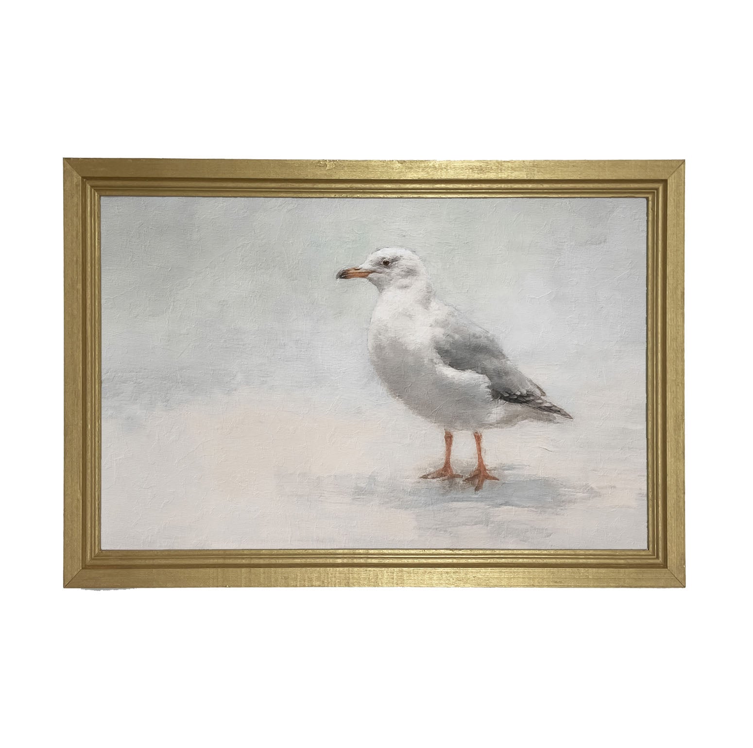 Seagull - Framed art