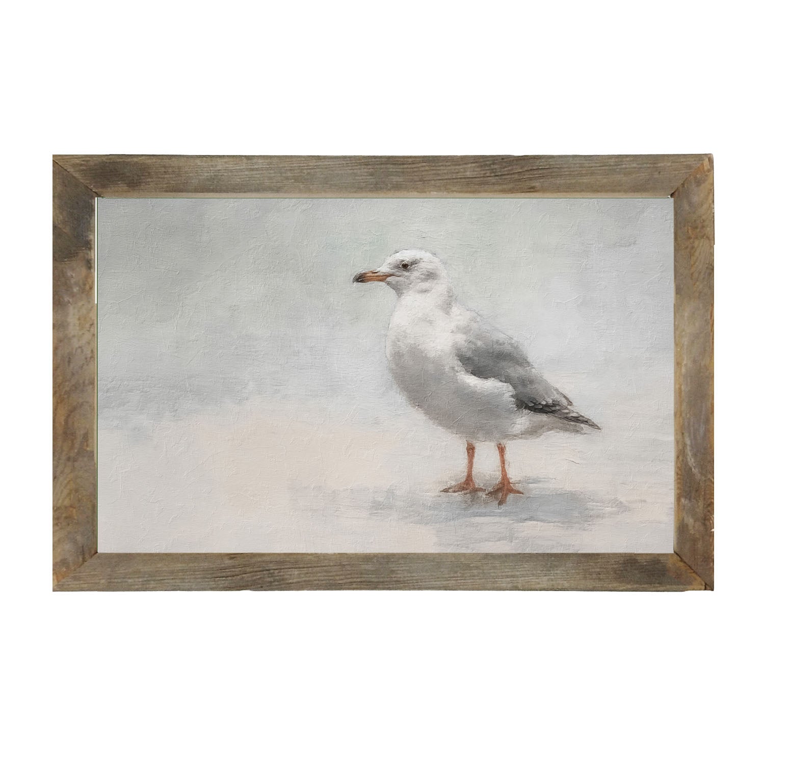 Seagull - Framed art
