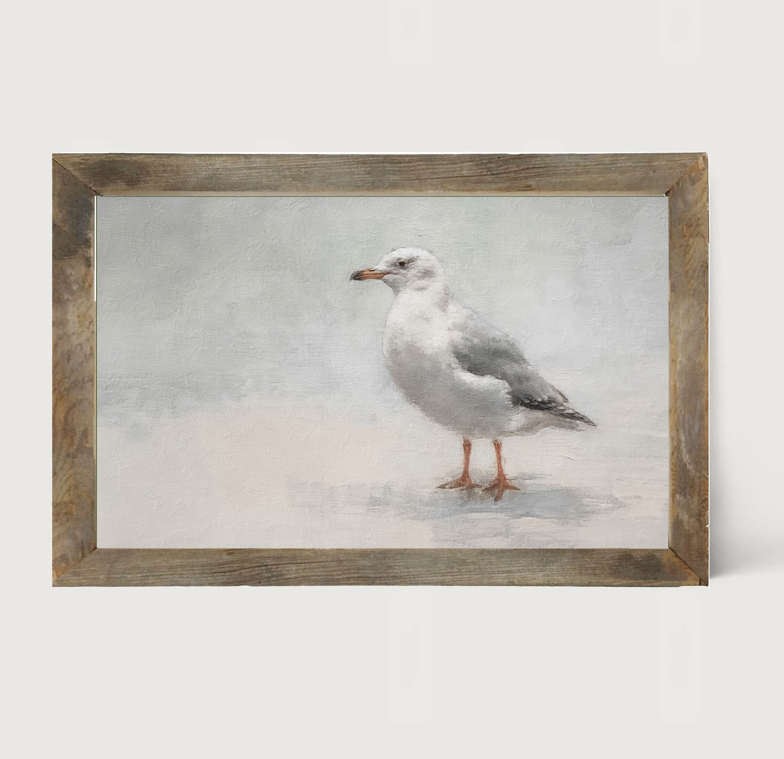 Seagull - Framed art