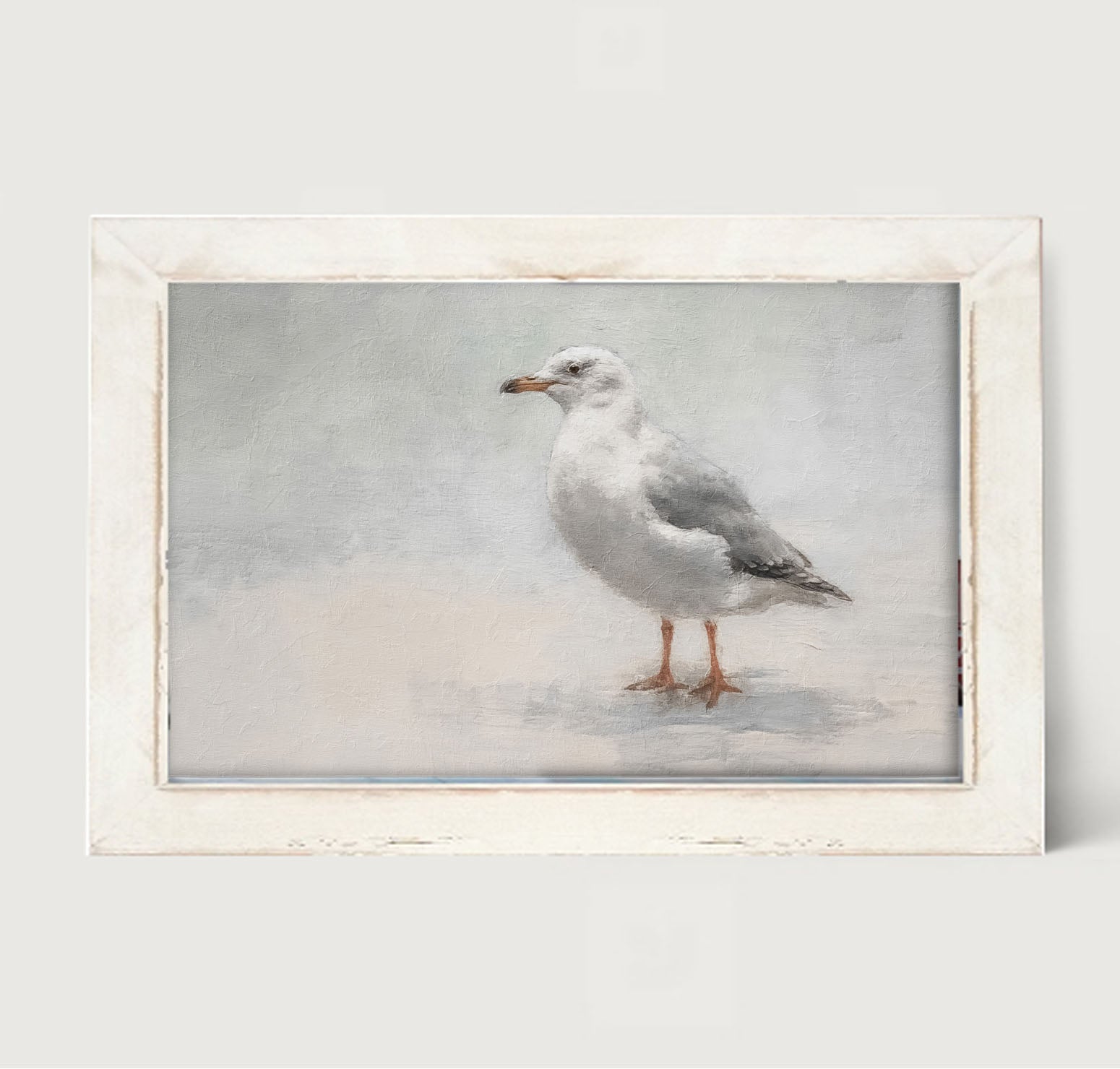 Seagull - Framed art