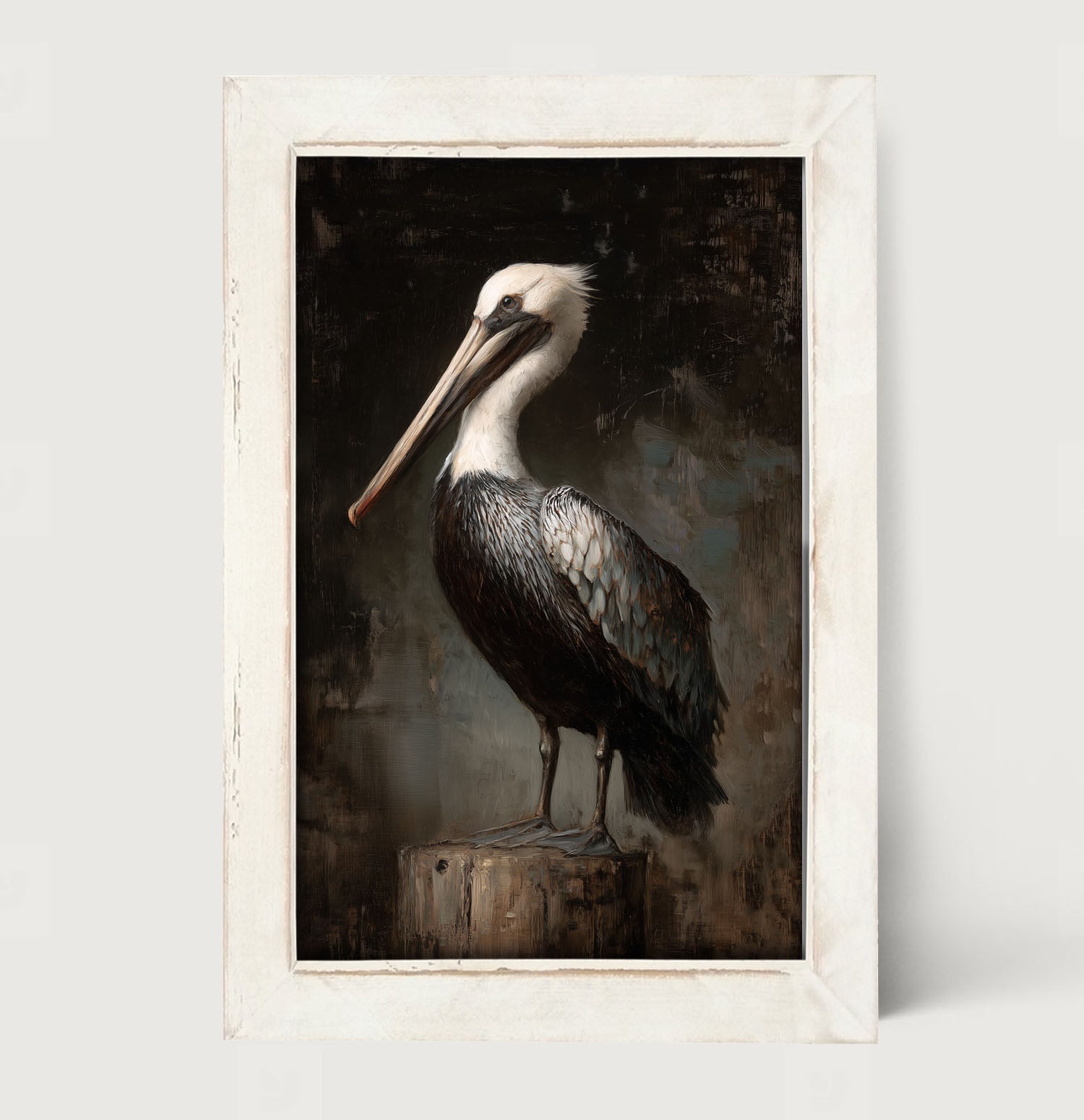 Beach Bird - Black and White Pelican