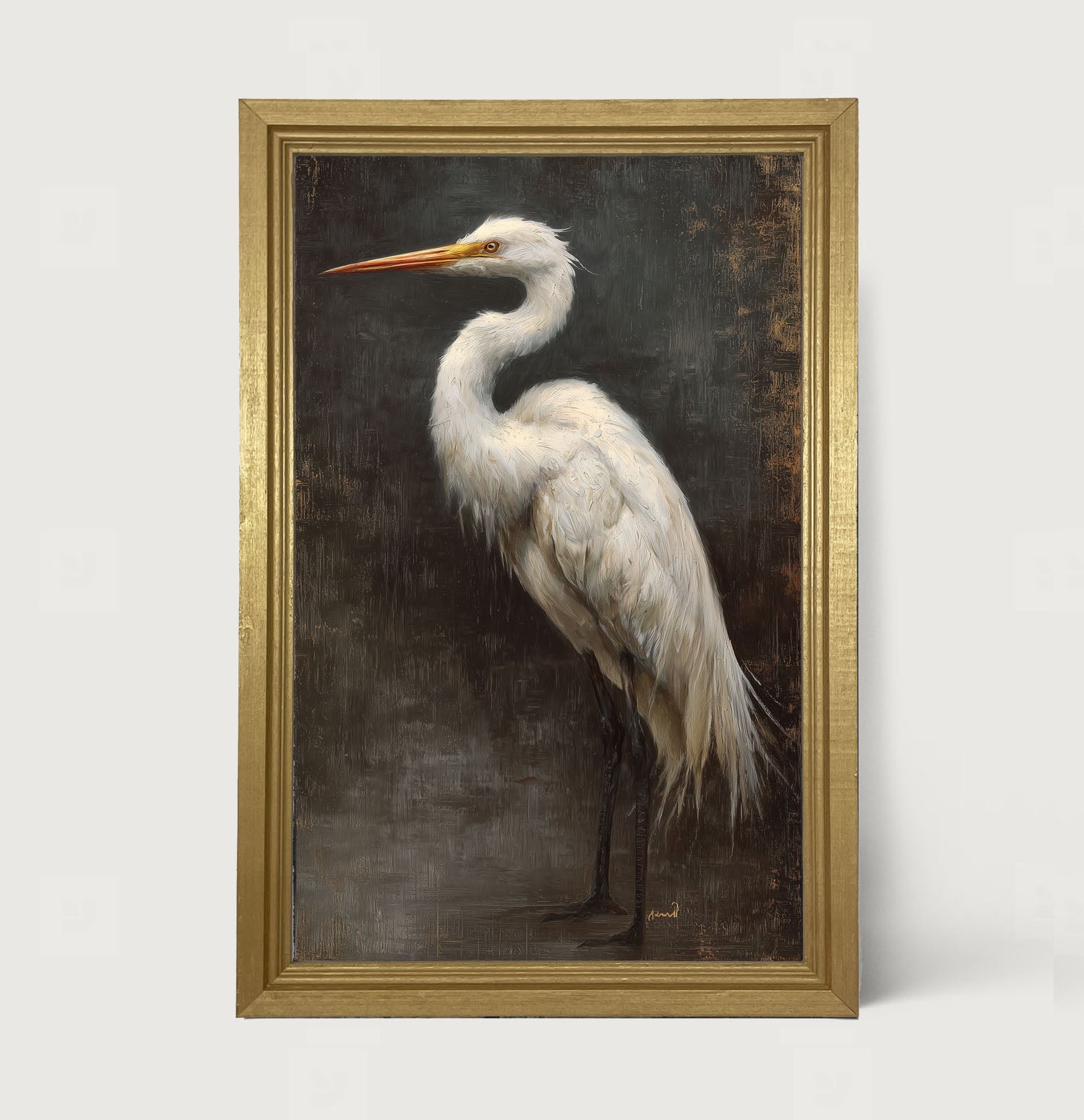 Beach Bird - White Pelican