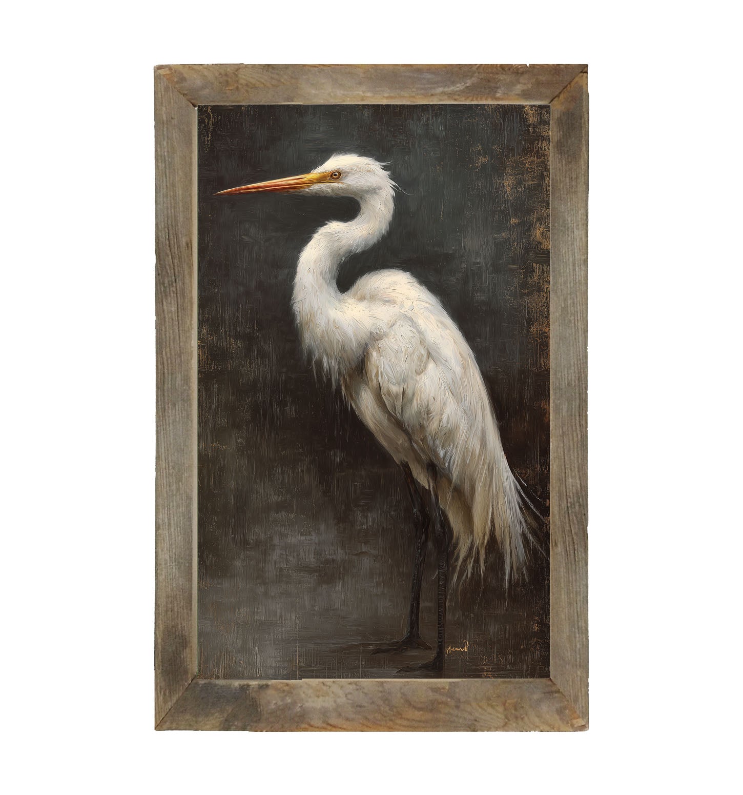 Beach Bird - White Pelican - Framed Art