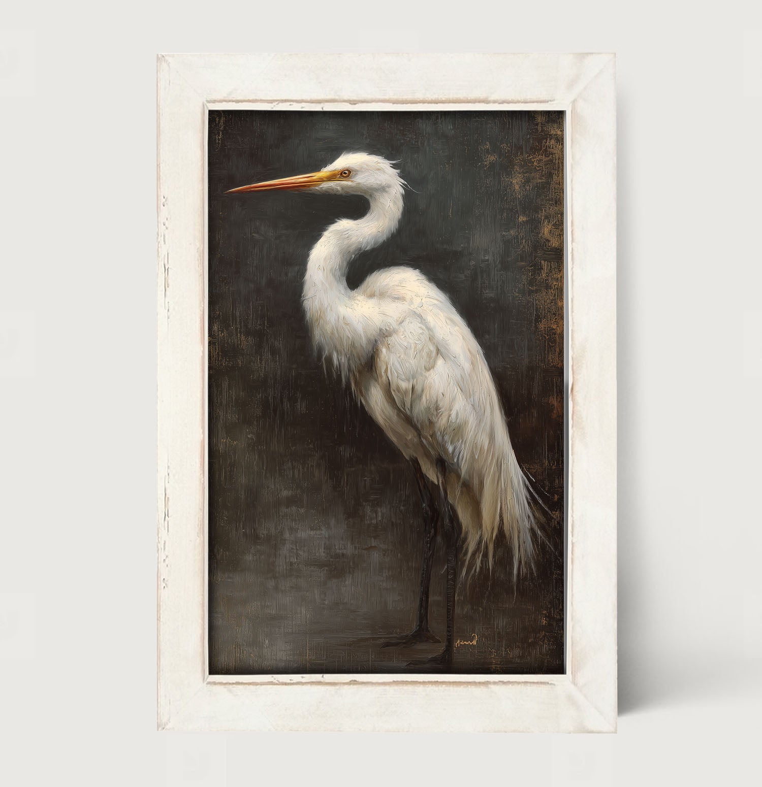 Beach Bird - White Pelican