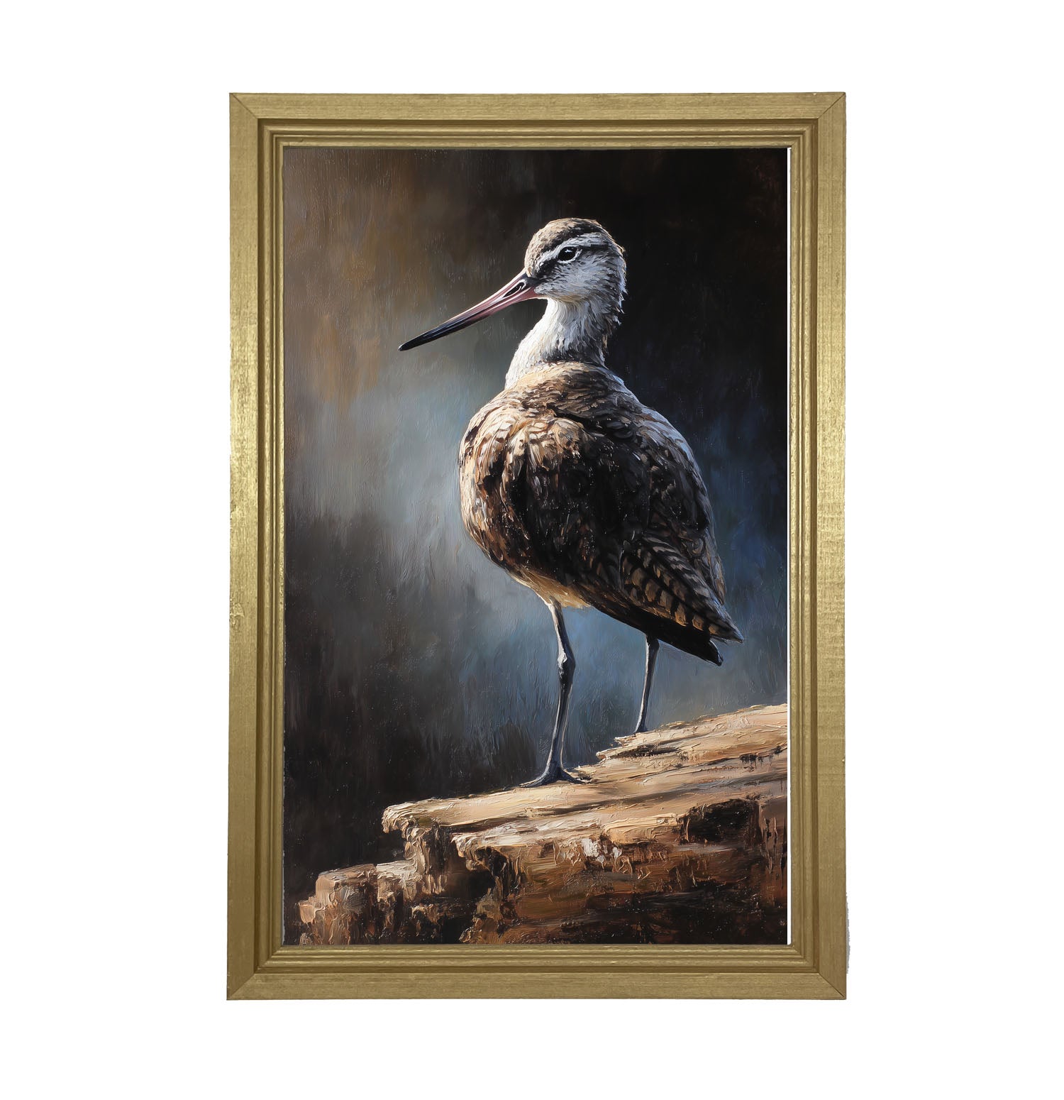 Beach Bird - Sandpiper - Framed Art