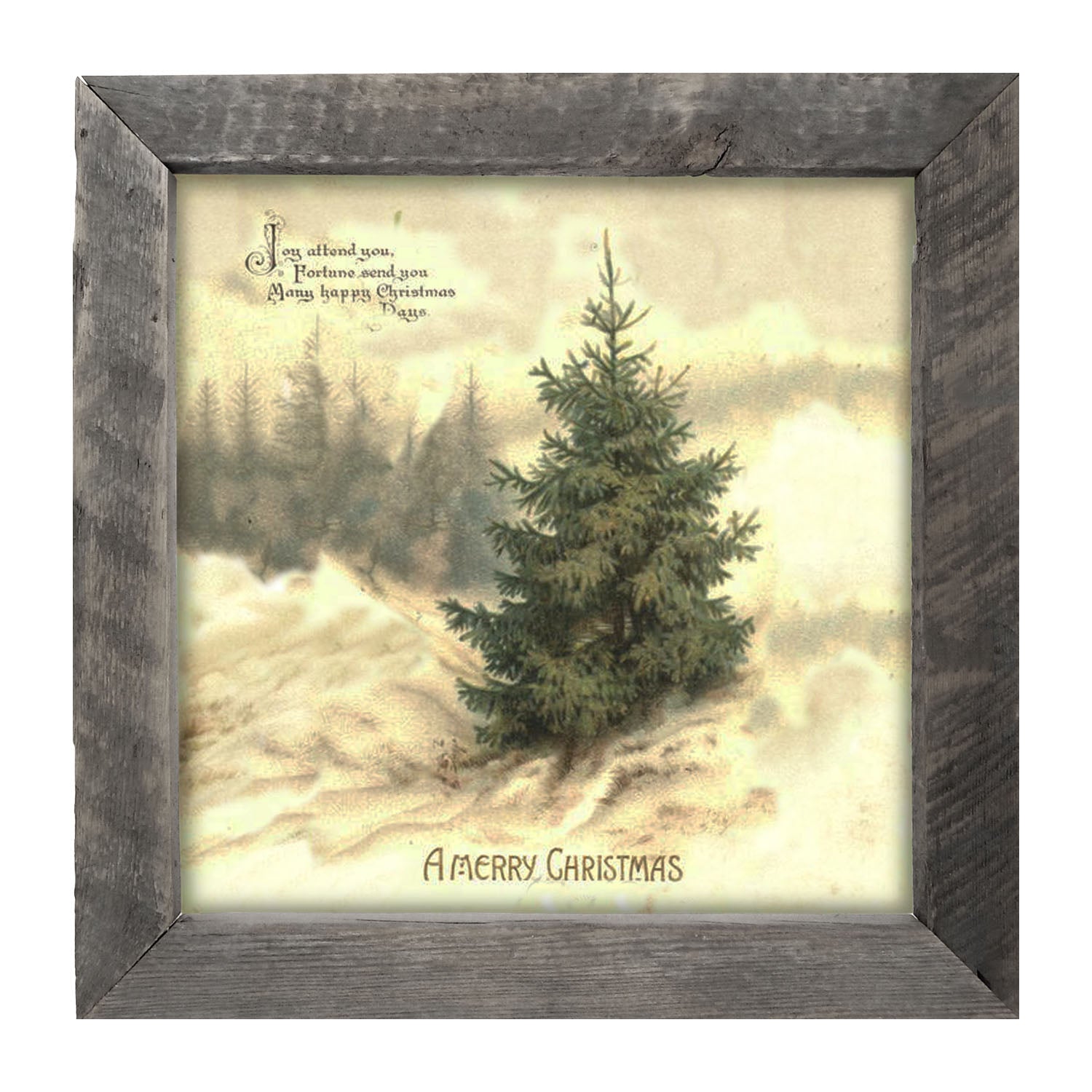 Winter Tree (Joy Attend You) - Framed art