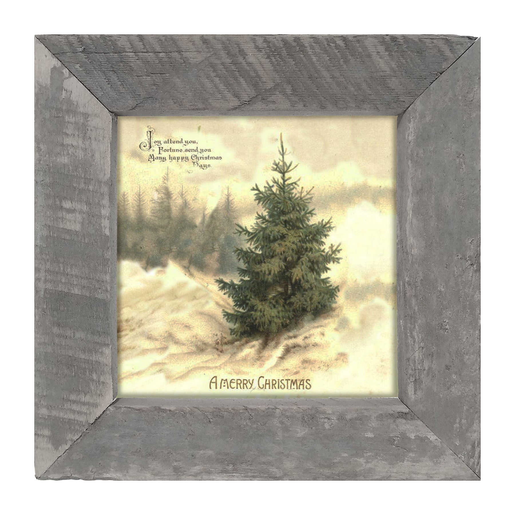 Winter Tree (Joy Attend You) - Framed art