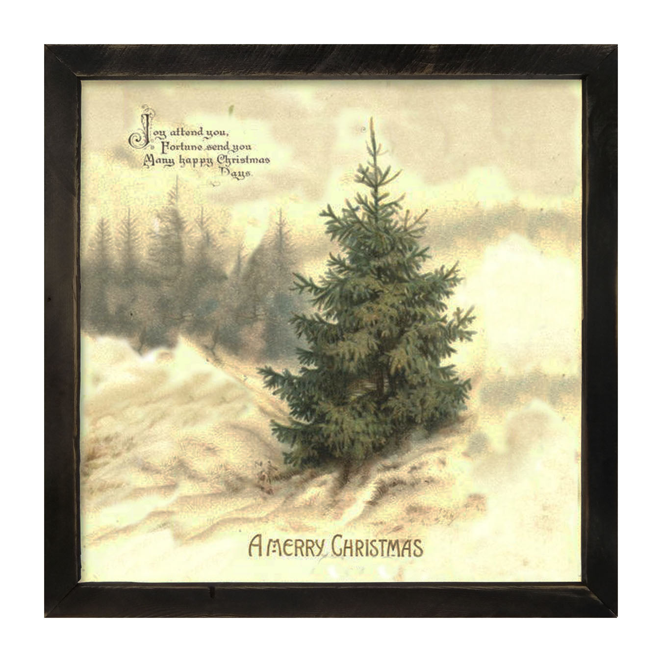 Winter Tree (Joy Attend You) - Framed art